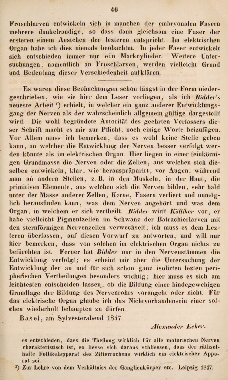 Froschlarven entwickeln sich in manchen der embryonalen Fasern mehrere dunkelrandige, so dass dann gleichsam eine Faser der ersteren einem Aestchen der lezteren entspricht. Im elektrischen Organ habe ich dies niemals beobachtet. In jeder Faser entwickelt sich entschieden immer nur ein Markcylinder. Weitere Unter¬ suchungen, namentlich an Froschlarven, werden vielleicht Grund und Bedeutung dieser Verschiedenheit aufklären. Es waren diese Beobachtungen schon längst in der Form nieder¬ geschrieben, wie sie hier dem Leser vorliegen, als ich Bidder's neueste Arbeit *) erhielt, in welcher ein ganz anderer Entwicklungs¬ gang der Nerven als der wahrscheinlich allgemein gültige dargestellt wird. Die wohl begründete Autorität des geehrten Verfassers die¬ ser Schrift macht es mir zur Pflicht, noch einige Worte beizufügen. Vor Allem muss ich bemerken, dass es wohl keine Stelle gehen kann, an welcher die Entwicklung der Nerven besser verfolgt wer¬ den könnte als im elektrischen Organ. Hier liegen in einer feinkörni¬ gen Grundmasse die Nerven oder die Zellen, aus welchen sich die¬ selben entwickeln, klar, wie herauspräparirt, vor Augen, während man an andern Stellen, z. B. in den Muskeln, in der Haut, die primitiven Elemente, aus welchen sich die Nerven bilden, sehr bald unter der Masse anderer Zellen, Kerne, Fasern verliert und unmög¬ lich herausfinden kann, was dem Nerven angehört und was dem Organ, in welchem er sich vertheilt. Bidder wirft Kölliker vor, er habe vielleicht Pigmentzellen im Schwanz der Batrachierlarven mit den sternförmigen Nervenzellen verwechselt; ich muss es dem Lez¬ teren überlassen, auf diesen Vorwurf zu antworten, und will nur hier bemerken, dass von solchen im elektrischen Organ nichts zu befürchten ist. Ferner hat Bidder nur in den Nervenstämmen die Entwicklung verfolgt; es scheint mir aber die Untersuchung der Entwicklung der an und für sich schon ganz isolirten lezten peri¬ pherischen Vertheilungen besonders wichtig; hier muss es sich am leichtesten entscheiden lassen, ob die Bildung einer bindegewebigen Grundlage der Bildung des Nervenrohrs vorangeht oder nicht. Für das elektrische Organ glaube ich das Nichtvorhandensein einer sol¬ chen wiederholt behaupten zu dürfen. Basel, am Sylvesterabend 1847. Alexander Ecker. es entschieden, dass die Theilung wirklich für alle motorischen Nerven charakteristisch ist, so Hesse sich daraus schliessen, dass der räthsel- hafte Follikelapparat des Zitterrochens wirklich ein elektrischer Appa¬ rat sei. Zur Lehre von dem Verhältniss der Ganglienkörper etc* Leipzig 1847.