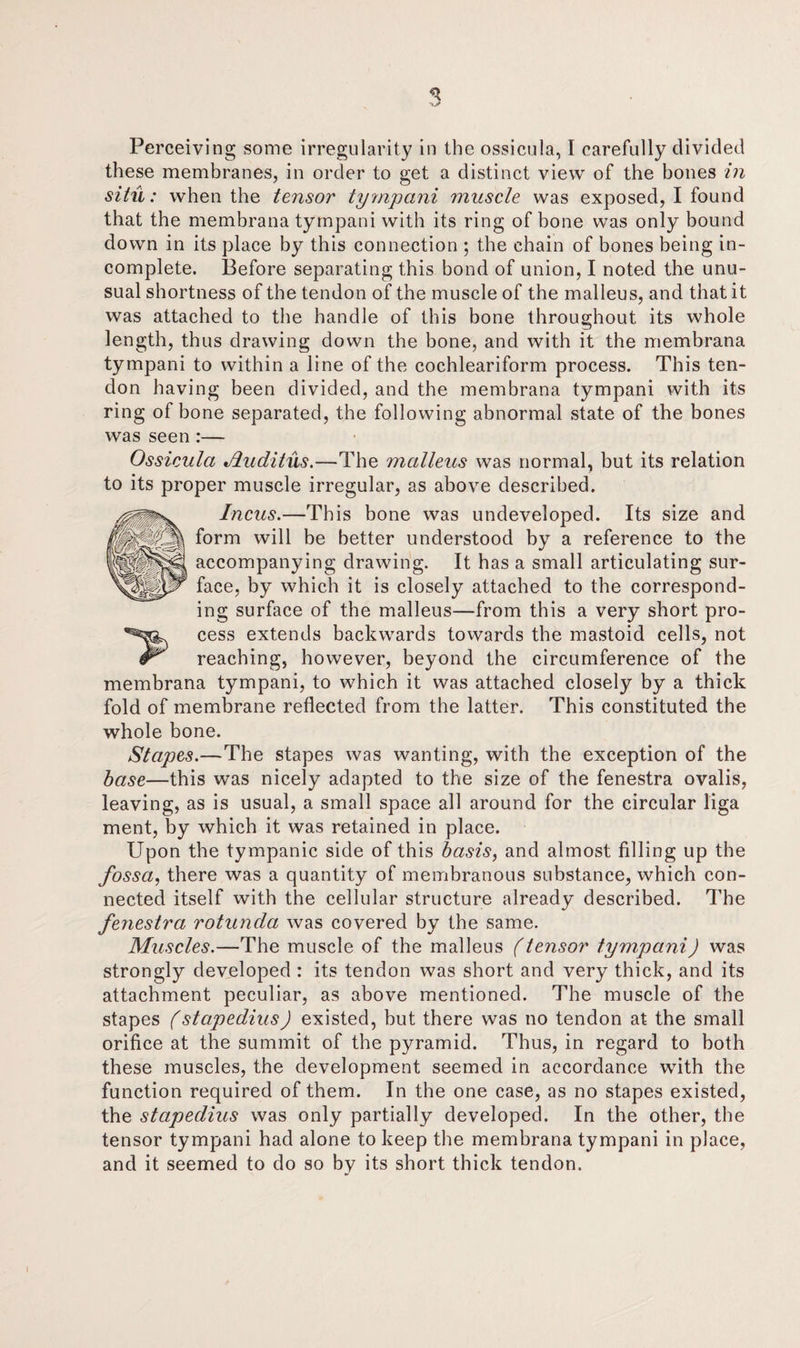 these membranes, in order to get a distinct view of the bones in situ: when the tensor tympani muscle was exposed, I found that the membrana tympani with its ring of bone was only bound down in its place by this connection ; the chain of bones being in¬ complete. Before separating this bond of union, I noted the unu¬ sual shortness of the tendon of the muscle of the malleus, and that it was attached to the handle of this bone throughout its whole length, thus drawing down the bone, and with it the membrana tympani to within a line of the cochleariform process. This ten¬ don having been divided, and the membrana tympani with its ring of bone separated, the following abnormal state of the bones was seen :— Ossicula Auditus.—The malleus was normal, but its relation to its proper muscle irregular, as above described. Incus.—This bone was undeveloped. Its size and form will be better understood by a reference to the accompanying drawing. It has a small articulating sur¬ face, by which it is closely attached to the correspond¬ ing surface of the malleus—from this a very short pro¬ cess extends backwards towards the mastoid cells, not reaching, however, beyond the circumference of the membrana tympani, to which it was attached closely by a thick fold of membrane reflected from the latter. This constituted the whole bone. Stapes.—The stapes was wanting, with the exception of the base—this was nicely adapted to the size of the fenestra ovalis, leaving, as is usual, a small space all around for the circular liga ment, by which it was retained in place. Upon the tympanic side of this basis, and almost filling up the fossa, there was a quantity of membranous substance, which con¬ nected itself with the cellular structure already described. The fenestra rotunda was covered by the same. Muscles.—The muscle of the malleus (tensor tympani) was strongly developed : its tendon was short and very thick, and its attachment peculiar, as above mentioned. The muscle of the stapes (stapedius) existed, but there was no tendon at the small orifice at the summit of the pyramid. Thus, in regard to both these muscles, the development seemed in accordance with the function required of them. In the one case, as no stapes existed, the stapedius was only partially developed. In the other, the tensor tympani had alone to keep the membrana tympani in place, and it seemed to do so by its short thick tendon.