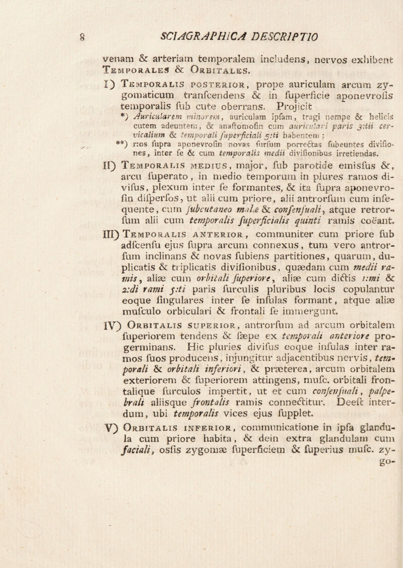 venam & arteriam temporalem includens, nervos exhibent Temporales & Orbitales. I) Temporalis posterior, prope auriculam arcum zy¬ gomaticum tranfcendens & in fuperficie aponevrofis temporalis fub cute oberrans. Projicit *) Auricularem minorem, auriculam ipfam, tragi nempe & helicis cutem adeuntem, & anaftornofin cum auriculari paris 3;tii cer¬ vicalium & temporali fuperficiali $:ti habentem : **) nos fupra aponevroiln novas furfum porrectas fubeuntes divifio- nes, Inter fe & cum temporalis medii divifionibus irretiendas. II) Temporalis medius, major, fub parotide emisfus &, arcu fu perato , in medio temporum in plures ramos di- vilus, plexum inter fe formantes, & ita fupra aponevro- fin difperfos, ut alii cum priore, alii antrorfum cum infe- quente,curn jubcutaneo malae & confenfuali5 atque retror- funi alii cum temporalis Superficialis quinti ramis coeant. III) Temporalis anterior, communiter cum priore fub adfcenfu ejus fupra arcum connexus, tum vero antror¬ fum inclinans & novas fubiens partitiones, quarum, du¬ plicatis & triplicatis divifionibus , quaedam cum medii ra- viis , aliae cum orbitali ftiperiore, aliae cum didlis 2:mi & udi rami y.ti paris furculis pluribus locis copulantur eoque lingulares inter fe infiilas formant, atque aliae mufculo orbiculari & frontali fe immergunt. IV) Orbitalis superior, antrorfum ad arcum orbitalem fuperiorem tendens & faepe ex temporali anteriore pro¬ germinans. Hic pluries divifus eoque infulas inter ra¬ mos fuos producens, injungitur adjacentibus nervis, tem» porali & orbitali inferiori, & praeterea, arcum orbitalem exteriorem & fuperiorem attingens, mufc. orbitali fron¬ tali que Hirculos impertit, ut et cum conjenfuali, palpe¬ brali aliisque frontalis ramis conneftitur. Deeft inter¬ dum, ubi temporalis vices ejus fupplet. V) Orbitalis inferior, communicatione in ipfa glandu¬ la cum priore habita, & dein extra glandulam cum faciali, osfis zygomae fuperficiem & fuperius mufc. zy- go-
