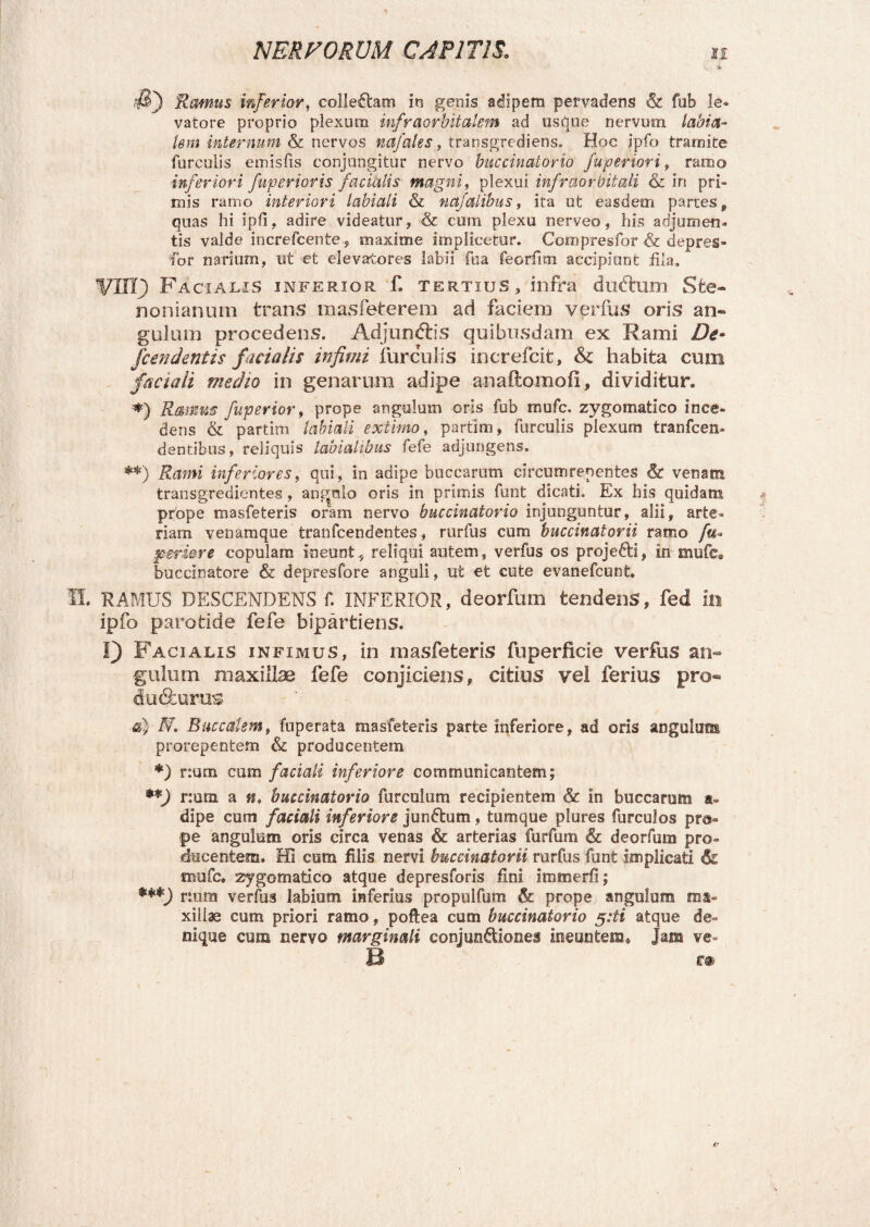 S~) 'Ramus inferior, colleCtam in genis adipem pervadens & fub le¬ vatore proprio plexum infraorbitalem ad usque nervum labia¬ lem internum & nervos nafales, transgrediens. Hoc ipfo tramite furculis emisfis conjungitur nervo buccinatorio ju per ion, ramo inferiori fupertorts facialis magni, plexui infraorbitali & iri pri¬ mis ramo interiori labiali & na/alibus, ita ut easdem partes 9 quas hi ipfi, adire videatur, & cum plexu nerveo, his adjumen¬ tis valde increfcente, maxime implicetur. Compresfor & depres- for narium, ut et elevatores labii fu a feorfim accipiunt fila. W1I1J Facialis inferior f. tertius, infra diiftum Sfce- nonianum trans masfeterem ad faciem verfus oris an¬ gulum procedens. Adjun&ris quibusdam ex Rami De- jc en dentis facia lis infimi furculis increfcit, & habita cum faciali medio in genarum adipe anaftomofi, dividitur. *) Ramus fuperior, prope angulum oris fub rr.ufc. zygomatico ince¬ dens & partim labiali extimo, partim, furculis plexum tranfcen- dentibus, reliquis labialibus fefe adjungens. **) Rami inferiores, qui, in adipe buccarum circum repentes & venam transgredicntes , angulo oris in primis funt dicati. Ex his quidam prope masfeteris oram nervo buccinatorio injunguntur, alii, arte¬ riam venamque tranfcendentes, rurfus cum buccinatorii ramo fu, periere copulam ineunt, reliqui autem, verfus os projedti, in mufe, buccinatore & depresfore anguli, ufc et cute evanefcunt. Ii RAMUS DESCENDENS f. INFERIOR, deorfum tendenS, fed in ipfo parotide fefe bipartiens. I) Facialis infimus, in masfeteris fuperfxcie verfus an¬ gulum maxillas fefe conjiciens, citius vel ferius pro- du&urus a) N* Buccalem, fuperata masfeteris parte inferiore, ad oris angulum prorepentem & producentem *) num cum faciali inferiore communicantem; **) r:um a w. buccinatorio furcuium recipientem & in buccarum a» dipe cum faciali inferiore jundtum, tumque plores furculos pro¬ pe angulum oris circa venas & arterias furfum & deorfum pro¬ ducentem. Hi cum filis nervi buccinatorii rurfus funt implicati & tnufc. zygomatico atque depresforis fini immerfi; ***) num verfus labium inferius propulfum prope angulum ma¬ xillae cum priori ramo, pofiea cum buccinatorio 5:ti atque de¬ nique cum nervo marginali conjunctiones ineuntem» jam ve» B r@