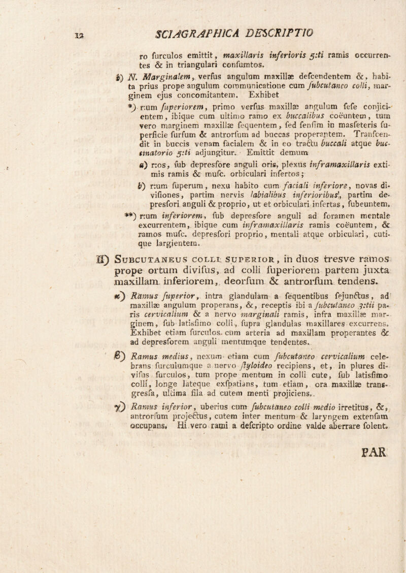 ro furculos emittit, maxillaris inferioris 5:ti ramis occurren¬ tes & in triangulari confumtos. t) N. Marginalem r verfus angulum maxillae defcendentem &, habi¬ ta prius prope angulum communicatione cum fubcutaneo colli, mar¬ ginem ejus concomitantem. Exhibet *)• r.um fuperiorem, primo verfus maxillas angulum fefe conjici- entem, ibique cum ultimo ramo ex buccalibus coeuntem, turn vero marginem maxillae fequentem, fed fenfim in masfeteris fm perficie furfum & antrorfum ad buccas properantem. Tranfcen- dit in buccis venam facialem & in eo tradbu buccali atque huc- unator io adjungitur. Emittit demum 0) nos, fub depresfore anguli oris, plexus inframaxillaris extb mis ramis & mufc. orbiculari infertos; U) r:um fuperum, nexu habito cum faciali inferiore, novas di- vifiones, partirn nervis labialibus inferioribus!,. partim de- presfori anguli & proprio, ut et orbiculari infertas, fubeuntem, **) num inferiorem, fub depresfore anguli ad foramen mentale excurrentemibique cum inframaxillaris ramis coeuntem, & ramos mufc. depresfori proprio, mentali atque orbiculari, cuti¬ que largientem. II) Subcutaneus collt superior, in duos tresve ramos prope ortum di vi Ius, ad colli fuperiorem partem juxta maxillam, inferiorem r. deorfum & antrorfum tendens. m) Ramus fuperior, intra glandulam a fequentibus fejun&as, ad maxillae angulum properans, &, receptis ibi a fubcutaneo 3:tii pa¬ ris cervicalium & a nervo marginali ramis, infra maxillae mar¬ ginem, fub latisfimo colli , fupra glandulas maxillares excurrens. Exhibet etiam furculos, cum arteria ad maxillam properantes & ad depresforem anguli mentumque tendentes. O Ramus medius, nexum« etiam cum fubcutaneo cervicalium cele¬ brans-furc.ulumque a nervo flyloideo recipiens, et, in plures di° vifus furcuios, tum prope mentum in colli cute, fub latisfim® colli, longe lateque exfpatians, tum etiam, ora maxillae trans= gresfa, ultima fila ad cutem menti projiciens.. %) Ramus inferior, uberius cum fubcutaneo colli medio irretitus, antrorfum proje&us, cutem inter mentum & laryngem extenfam occupans. Hi vero rami a defcripto ordine valde aberrare folent. PAR * /