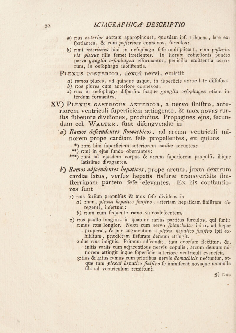 a) r:us exterior aortam appropinquat, quosdam ipfi tribuens, late ex- fpatiantes, & cum pofieriore connexos, furculos: b) r:mi interiores bini in oefophago fefe multiplicant, cum pofterio- ris plexus filis femet irretientes. In horum cohaefionis punfto parva ganglia oefophagea efformantur, penicilla emittentia nervo¬ rum, in oefophago fubfiftentia. Plexus posterior, dextri nervi, emittit a) ramos plures, ad quinque usque, in fuperficie aortae late diffufos: b) r:os plures cum anteriore connexos : c) r:os in oefophago difperfos fuaque ganglia oefophagea etiam in¬ terdum formantes. XV) Plexus gastricus anterior, a nervo finiftro, ante* rioreni ventriculi fuperficiem attingente, & mox novas rur- fus fubeunte divifiones, produftus. Propagines ejus, fecun¬ dum ceh Walter, funt diftingvendse in 'a) Ramos defcendentes ftomachicos, ad arcum ventriculi mi¬ norem prope cardiam fefe propellentes , ex quibus *) r:mi bini fuperficiem anteriorem cardise adeuntes: **) r:mi in ejus fundo oberrantes: ***) r:mi ad ejusdem corpus & arcum fuperiorem propulfi, ibique latisiime divagantes. ¥) Ramos adfcendentes hepaticos, prope arcum, juxta dextrum cardiae latus, verfus hepatis fis fur se transverfalis fini- fterrimam partem fefe elevantes. Ex his con(tantio¬ res funt j) r:us furfum propulfus & mox fefe dividens in a) r:um, plexui hepatico finiftro, arteriam hepaticam flniftram tegenti, infertum: h) r:um cum fequente ramo 2) coalefcentetm 2) r:us paullo longior, in quatuor rurfus partitus furculos, qui funt: i:mus r:us longior. Nexu cum nervo fplanchnico inito, ad hepar properat, & per augmentum a plexu hepatico finiftro ipfi ex¬ hibitum , praediatam fisfuram demum attingit. s:dus rms infignis. Primum adfcendit, tum deorfum flectitur, initis variis cum adjacentibus nervis copulis , arcum demum mi¬ norem attingit inque fuperficie anteriore ventriculi evanefciri 3‘.tius & 4itus ramus cum prioribus nervis fiomachicis ne&untur, at- .que tum plexui hepatico finiftro fe immifcent novaque nonnulla fila ad ventriculum remittunt. S) nus