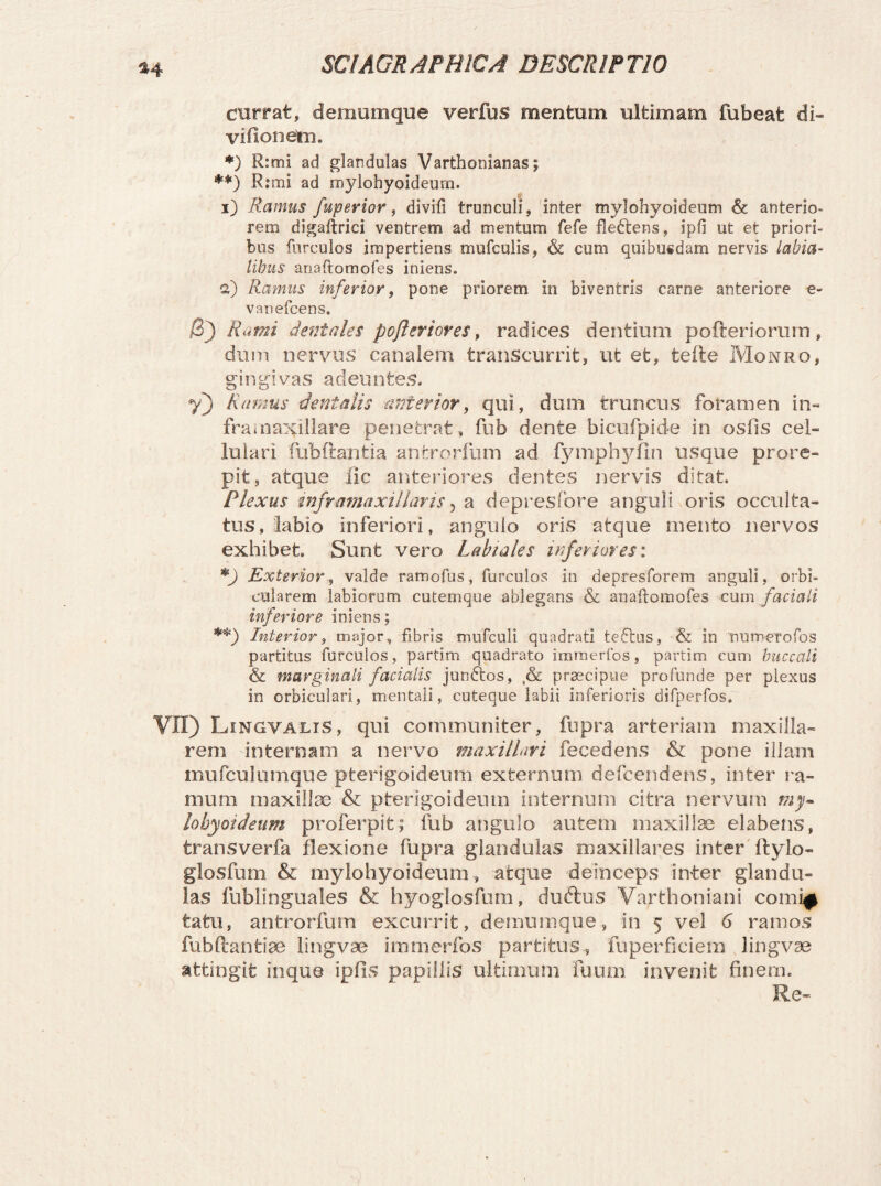 currat, demum que verfus mentum ultimam fubeat di- vifionetn. *) R:mi ad glandulas Varthonianas; **) R:mi ad mylohyoideum. i) Ramus fuperior, divifi trunculi, inter mylohyoideum & anterio¬ rem digaftrici ventrem ad mentum fefe fledtens, ipfi ut et priori¬ bus furculos impertiens mufculis, & cum quibusdam nervis labia¬ libus anaftomofes iniens. a) Ramus inferior, pone priorem in biventris carne anteriore e- vanefcens. ,($) Rami dentales pofleriores, radices dentium pofteriorum, dum nervus canalem transcurrit, ut et, tefte Monro, gingivas adeuntes. y) Ramus dentalis anterior, qui, dum truncus foramen in- framaxillare penetrat , fub dente bicufpide in osfis cel¬ lulari fubftantia antrorfum ad fymphyfln usque prore¬ pit, atque IIc anteriores dentes nervis ditat. Plexus inframaxillaris, a depresfore anguli oris occulta¬ tus, labio inferiori, angulo oris atque mento nervos exhibet Sunt vero Labiales inferiores: *) Exteriorvalde ramofas, furculos in depresforem anguli, orbi¬ cularem labiorum cutemque ablegans & anaftomofes cum faciali inferiore iniens; **) Interior, major, fibris mufculi quadrati tedtus, & in numerofos partitus furculos, partim quadrato immerfos, partim eum buccali & marginali facialis jundtos, ,& praecipue profunde per plexus in orbiculari, mentali, cuteque labii inferioris difperfos. VII) Lingvalis, qui communiter, fupra arteriam maxilla¬ rem internam a nervo maxillari fecedens & pone illam mufculumque pterigoideum externum defcendens, inter ra¬ mum maxillae & pterigoideum internum citra nervum my¬ lohyoideum proferpit; fub angulo autem maxillae elabens, transverfa flexione fupra glandulas maxillares inter ftylo- glosfum & mylohyoideum , atque deinceps inter glandu¬ las fubiinguales & hyoglosfum, duftus Varthoniani corni^ tatu, antrorfum excurrit, demumque, in 5 vel 6 ramos fub Orant iae lingvae immerfos partitus, fuperficiem lingvae attingit in que ipfis papillis ultimum fuum invenit finem. Re-