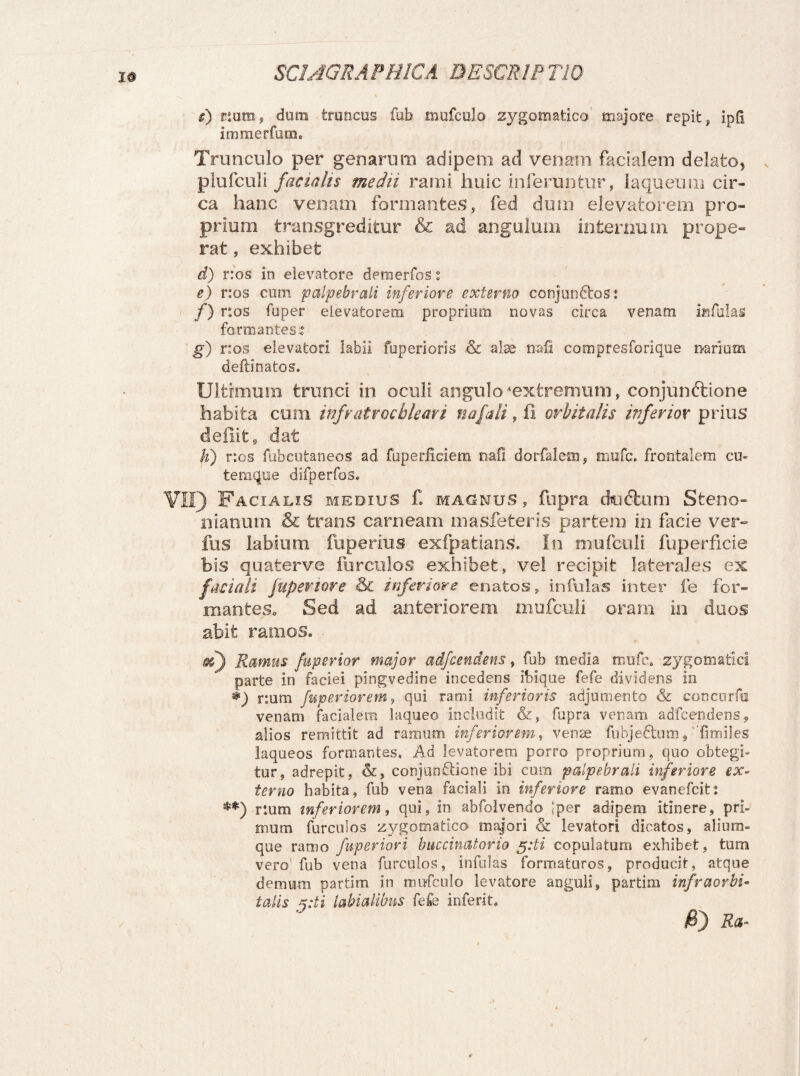 i# i) esum, dum truncus fub mufculo zygomatico majore repit, ipfi immerfum. Trunculo per genarum adipem ad venam facialem delato* plufculi facialis medii rami huic inferuntur, laqueum cir¬ ca hanc venam formantes, fed dum elevatorem pro¬ prium transgreditur & ad angulum internum prope¬ rat , exhibet d) r:os in elevatore detnerfos i e) r:os cum palpebrali inferiore externo conjundbost /) nos fuper elevatorem proprium novas circa venam infulas formantes* g) nos elevatori labii fuperioris & alae nali compresforique narium delimatos. Ultimum trunci in oculi angulo ‘extremum, conjunftione habita cum infratrochleari nafali, ii orbitalis inferior prius defiit, dat K) nos fubcutaneos ad fuperficiem nafl dorfalem, mule. frontalem cu¬ temque dlfperfos* VII) Facialis medius £ magnus, fupra duftum Steno- nianum & trans carneam masfeteris partem in facie ver- fus labium fuperras exfpatians. In mufculi fuperficie bis quaterve furculos exhibet, vel recipit laterales ex faciali fuper tore & inferiore enatos, infulas inter fe for¬ mantes» Sed ad anteriorem mufculi oram in duos abit ramos. sd) Ramus fuperior major adfcendens, fub media mufc. zygomatici parte in faciei pingvedine incedens ibique fefe dividens in *) r:um fuperiorem, qui rami inferioris adjumento & concurfu venam facialem laqueo includit &, fupra venam adfcendens* alios remittit ad ramum inferiorem, venae fubjedbum, 'fimiles laqueos formantes. Ad levatorem porro proprium, quo obtegi¬ tur, adrepit, &, conjunftione ibi cum palpebrali inferiore ex¬ terno habita, fub vena faciali in inferiore ramo evanefcit: **) rium inferiorem, qui, in abfolvendo |per adipem itinere, pri¬ mum furculos zygomatico majori oc levatori dicatos, alium¬ que ramo fuperiori buccinatorio $:ti copulatum exhibet, tum vero fub vena furculos, infulas formaturos, producit, atque demum partim in mufculo levatore anguli, partim infraorbi¬ talis x:ti labialibus fefe inferlt. /6) Ra-