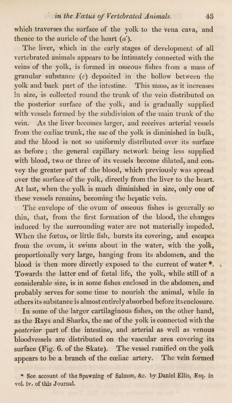 which traverses the surface of the yolk to the vena cava, and thence to the auricle of the heart {a). The liver, which in the early stages of development of all vertebrated animals appears to be intimately connected with the veins of the yolk, is formed in osseous fishes from a mass of granular substance (c) deposited in the hollow between the yolk and back part of the intestine. This mass, as it increases in size, is collected round the trunk of the vein distributed on the posterior surface of the yolk, and is gradually supplied with vessels formed by the subdivision of the main trunk of the vein. As the liver becomes larger, and receives arterial vessels from the coeliac trunk, the sac of the yolk is diminished in bulk, and the blood is not so uniformly distributed over its surface as before ; the general capillary network being less supplied with blood, two or three of its vessels become dilatedg and con¬ vey the greater part of the blood, which previously was spread over the surface of the yolk, directly from the liver to the heart. At last, when the yolk is much diminished in size, only one of these vessels remains, becoming the hepatic vein. The envelope of the ovum of osseous fishes is generally so thin, that, from the first formation of the blood, the changes induced by the surrounding water are not materially impeded. When the fcetus, or little fish, bursts its covering, and escapes from the ovum, it swims about in the water, with the yolk, proportionally very large, hanging from its abdomen, and the blood is then more directly exposed to the current of water Towards the latter end of foetal life, the yolk, while still of a considerable size, is in some fishes enclosed in the abdomen, and probably serves for some time to nourish the animal, while in others its substance is almost entirely absorbed before its enclosure. In some of the larger cartilaginous fishes, on the other hand, as the Rays and Sharks, the sac of the yolk is connected with the posterior part of the intestine, and arterial as well as venous bloodvessels are distributed on the vascular area covering its surface (Fig. 6. of the Skate). The vessel ramified on the yolk appears to be a branch of the cceliac artery. The vein formed • See account of the Spawning of Salmon, &c. by Daniel Ellis, Esq. in vol. iv. of this Journal.