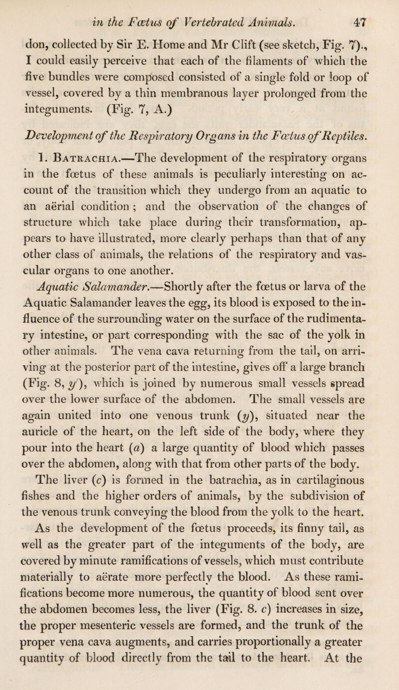 don, collected by Sir E. Home and Mr Clift (see sketch, Fig. 7)., I could easily perceive that each of the filaments of which the five bundles were composed consisted of a single fold or loop of vessel, covered by a thin membranous layer prolonged from the integuments. (Fig. 7, A.) Development of the Respiratory Organs in the Foetus of' Reptiles. 1. Batrachia.—The development of the respiratory organs in the foetus of these animals is peculiarly interesting on ac¬ count of the transition which they undergo from an aquatic to an aerial condition ; and the observation of the changes of structure which take place during their transformation, ap¬ pears to have illustrated, more clearly perhaps than that of any other class of animals, the relations of the respiratory and vas¬ cular organs to one another. Aquatic Salamander.—Shortly after the foetus or larva of the Aquatic Salamander leaves the egg, its blood is exposed to the in¬ fluence of the surrounding water on the surface of the rudimenta¬ ry intestine, or part corresponding with the sac of the yolk in other animals. The vena cava returning from the tail, on arri¬ ving at the posterior part of the intestine, gives off a large branch (Fig. 8, y), v/hich is joined by numerous small vessels spread over the lower surface of the abdomen. The small vessels are again united into one venous trunk (t/), situated near the auricle of the heart, on the left side of the body, where they pour into the heart (a) a large quantity of blood which passes over the abdomen, along with that from other parts of the body. The liver (c) is formed in the batrachia, as in cartilaginous fishes and the higher orders of animals, by the subdivision of the venous trunk conveying the blood from the yolk to the heart. As the development of the foetus proceeds, its finny tail, as well as the greater part of the integuments of the body, are covered by minute ramifications of vessels, which must contribute materially to aerate more perfectly the blood. As these rami¬ fications become more numerous, the quantity of blood sent over the abdomen becomes less, the liver (Fig. 8. c) increases in size, the proper mesenteric vessels are formed, and the trunk of the proper vena cava augments, and carries proportionally a greater quantity of blood directly from the tail to the heart. At the