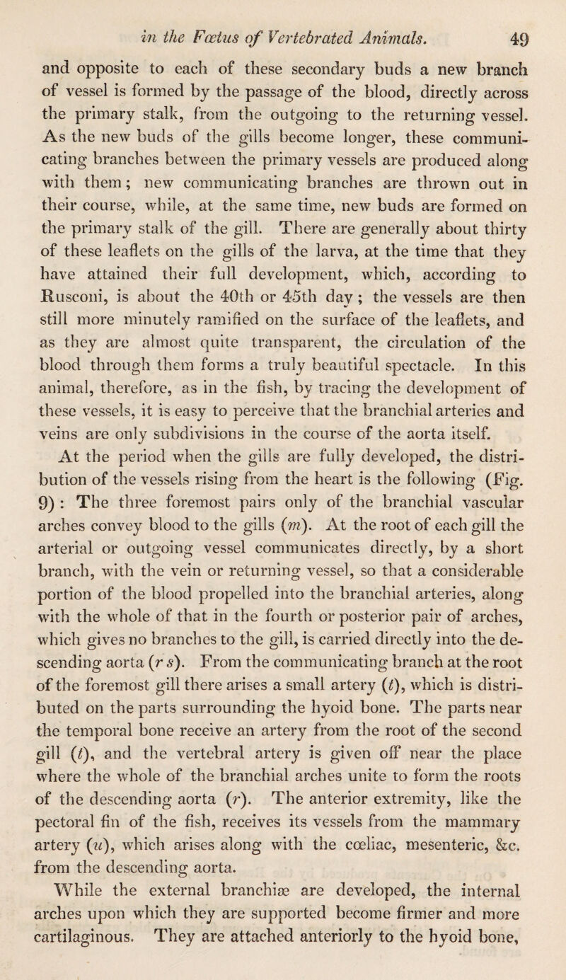 and opposite to each of these secondary buds a new branch of vessel is formed by the passage of the blood, directly across the primary stalk, from the outgoing to the returning vessel. As the new buds of the gills become longer, these communi¬ cating branches between the primary vessels are produced along with them; new communicating branches are thrown out in their course, while, at the same time, new buds are formed on the primary stalk of the gill. There are generally about thirty of these leaflets on the gills of the larva, at the time that they have attained their full development, which, according to Rusconi, is about the 40th or 45th day ; the vessels are then still more minutely ramified on the surface of the leaflets, and as they are almost quite transparent, the circulation of the blood through them forms a truly beautiful spectacle. In this animal, therefore, as in the fish, by tracing the development of these vessels, it is easy to perceive that the branchial arteries and veins are only subdivisions in the course of the aorta itself. At the period when the gills are fully developed, the distri¬ bution of the vessels rising from the heart is the following (Fig. 9) : The three foremost pairs only of the branchial vascular arches convey blood to the gills (m). At the root of each gill the arterial or outgoing vessel communicates directly, by a short branch, with the vein or returning vessel, so that a considerable portion of the blood propelled into the branchial arteries, along with the whole of that in the fourth or posterior pair of arches, which gives no branches to the gill, is carried directly into the de¬ scending aorta (r s). From the communicating branch at the root of the foremost gill there arises a small artery {t), which is distri¬ buted on the parts surrounding the hyoid bone. The parts near the temporal bone receive an artery from the root of the second gill (^), and the vertebral artery is given off near the place where the whole of the branchial arches unite to form the roots of the descending aorta (r). The anterior extremity, like the pectoral fin of the fish, receives its vessels from the mammary artery (?^), which arises along with the coeliac, mesenteric, &c. from the descending aorta. While the external branchiae are developed, the internal arches upon which they are supported become firmer and more cartilaginous. They are attached anteriorly to the hyoid bone,