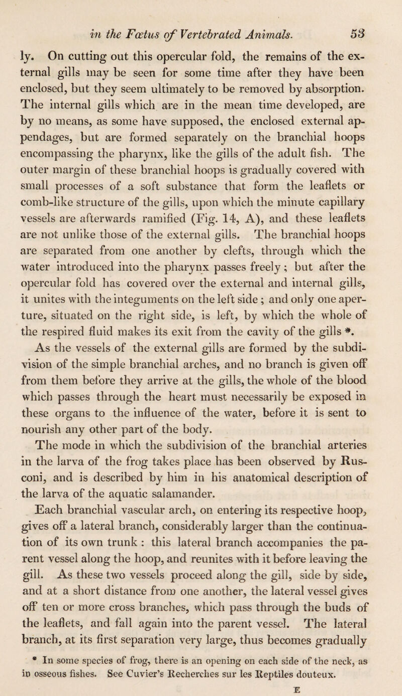 ly. On cutting out this opercular fold, the remains of the ex¬ ternal gills may be seen for some time after they have been enclosed, but they seem ultimately to be removed by absorption. The internal gills which are in the mean time developed, are by no means, as some have supposed, the enclosed external ap¬ pendages, but are formed separately on the branchial hoops encompassing the pharynx, like the gills of the adult fish. The outer margin of these branchial hoops is gradually covered with small processes of a soft substance that form the leaflets or comb-like structure of the gills, upon which the minute capillary vessels are afterwards ramified (Fig. 14, A), and these leaflets are not unlike those of the external gills. The branchial hoops are separated from one another by clefts, through which the water introduced into the pharynx passes freely ; but after the opercular fold has covered over the external and internal gills, it unites with the integuments on the left side ; and only one aper¬ ture, situated on the right side, is left, by which the whole of the respired fluid makes its exit from the cavity of the gills As the vessels of the external gills are formed by the subdi¬ vision of the simple branchial arches, and no branch is given olF from them before they arrive at the gills, the whole of the blood which passes through the heart must necessarily be exposed in these organs to the influence of the water, before it is sent to nourish any other part of the body. The mode in which the subdivision of the branchial arteries in the larva of the frog takes place has been observed by Rus- coni, and is described by him in his anatomical description of the larva of the aquatic salamander. Each branchial vascular arch, on entering its respective hoop, gives off a lateral branch, considerably larger than the continua¬ tion of its own trunk : this lateral branch accompanies the pa¬ rent vessel along the hoop, and reunites with it before leaving the gill. As these two vessels proceed along the gill, side by side, and at a short distance from one another, the lateral vessel gives off ten or more cross branches, which pass through the buds of the leaflets, and fall again into the parent vessel. The lateral branch, at its first separation very large, thus becomes gradually * In some species of frog, there is an opening on each side of the neck, as in osseous fishes. See Cuvier’s Recherches sur les Reptiles douteux. E