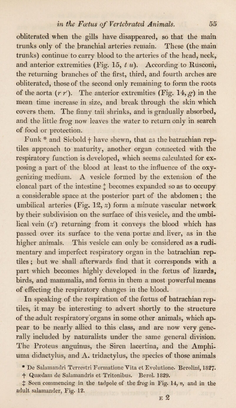 obliterated when the gills have disappeared, so that the main trunks only of the branchial arteries remain. These (the main trunks) continue to carry blood to the arteries of the head, neck, and anterior extremities (Fig. 15, ^ u). According to Rusconi, the returning branches of the first, third, and fourth arches are obliterated, those of the second only remaining to form the roots of the aorta {r r'). The anterior extremities (Fig. 14,^) in the mean time increase in size, and break through the skin which covers them. The finny tail shrinks, and is gradually absorbed, and the little frog now leaves the water to return only in search of food or protection. Funk * and Siebold f have shewn, that as the batrachian rep¬ tiles approach to maturity, another organ connected with the respiratory function is developed, which seems calculated for ex¬ posing a part of the blood at least to the influence of the oxy¬ genizing medium. A vesicle formed by the extension of the cloacal part of the intestine I becomes expanded so as to occupy a considerable space at the posterior part of the abdomen; the umbilical arteries (Fig. 12, z) form a minute vascular network by their subdivision on the surface of this vesicle, and the umbi¬ lical vein (^) returning from it conveys the blood which has passed over its surface to the vena portae and liver, as in the higher animals. This vesicle can only be considered as a rudi¬ mentary and imperfect respiratory organ in the batrachian rep¬ tiles ; but we shall afterwards find that it corresponds with a part which becomes highly developed in the foetus of lizards, birds, and mammalia, and forms in them a most powerful means of eflecting the respiratory changes in the blood. In speaking of the respiration of the foetus of batrachian rep¬ tiles, it may be interesting to advert shortly to the structure of the adult respiratory organs in some other animals, which ap¬ pear to be nearly allied to this class, and are now very gene¬ rally included by naturalists under the same general division. The Proteus anguinus, the Siren lacertina, and the Amphi- uma didactylus, and A. tridactylus, the species of those animals • De Salamandri Terrestri Formatione Vita et Evolutione. Berolim, 1827* •j* Qusedam de Salamandris et Tritonibus. Berol. 1829. $ Seen commencing in the tadpole of the frog in Fig. 14, v, and in the adult salamander, Fig. 12. E 2