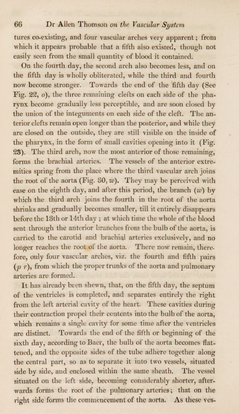 tures co-existing, and four vascular arches very apparent; from which it a])pears probable that a fifth also existed, though not easily seen from the small quantity of blood it contained. On the fourth day, the second arch also becomes less, and on the fifth day is wholly obliterated, while the third and fourth now become stronger. Towards the end of the 'fifth day (See Fig. 22, o), the three remaining clefts on each side of the pha¬ rynx become gradually less perceptible, and are soon closed by the union of the integuments on each side of the cleft. The an¬ terior clefts remain open longer than the posterior, and while they are closed on the outside, they are still visible on the inside of the pharynx, in the form of small cavities opening into it (Fig. 23). The third arch, now the most anterior of those remaining, forms the brachial arteries. The vessels of the anterior extre¬ mities spring from the place where the third vascular arch joins the root of the aorta (Fig. 30, They may be perceived with ease on the eighth day, and after this period, the branch {iv) by which the third arch joins the fourth in the root of the aorta shrinks and gradually becomes smaller, till it entirely disappears before the 13th or 14th day ; at which time the whole of the blood sent through the anterior branches from the bulb of the aorta, is carried to the carotid and brachial arteries exclusively, and no longer reaches the root of the aorta. There now remain, there¬ fore, only four vascular arches, viz. the fourth and fifth pairs {p r), from which the proper trunks of the aorta and pulmonary arteries are formed. It has already been shewn, that, on the fifth day, the septum of the ventricles is completed, and separates entirely the right from the left arterial cavity of the heart. These cavities during their contraction propel their contents into the bulb of the aorta, which remains a single cavity for some time after the ventricles are distinct. Towards the end of the fifth or beginning of the sixth day, according to Baer, the bulb of the aorta becomes flat¬ tened, and the opposite sides of the tube adhere together along the central part, so as to separate it into two vessels, situated side by side, and enclosed within the same sheath. The vessel situated on the left side, becoming considerably shorter, after¬ wards forms the root of the pulmonary arteries; that on the right side forms the commencement of the aorta. As these ves-