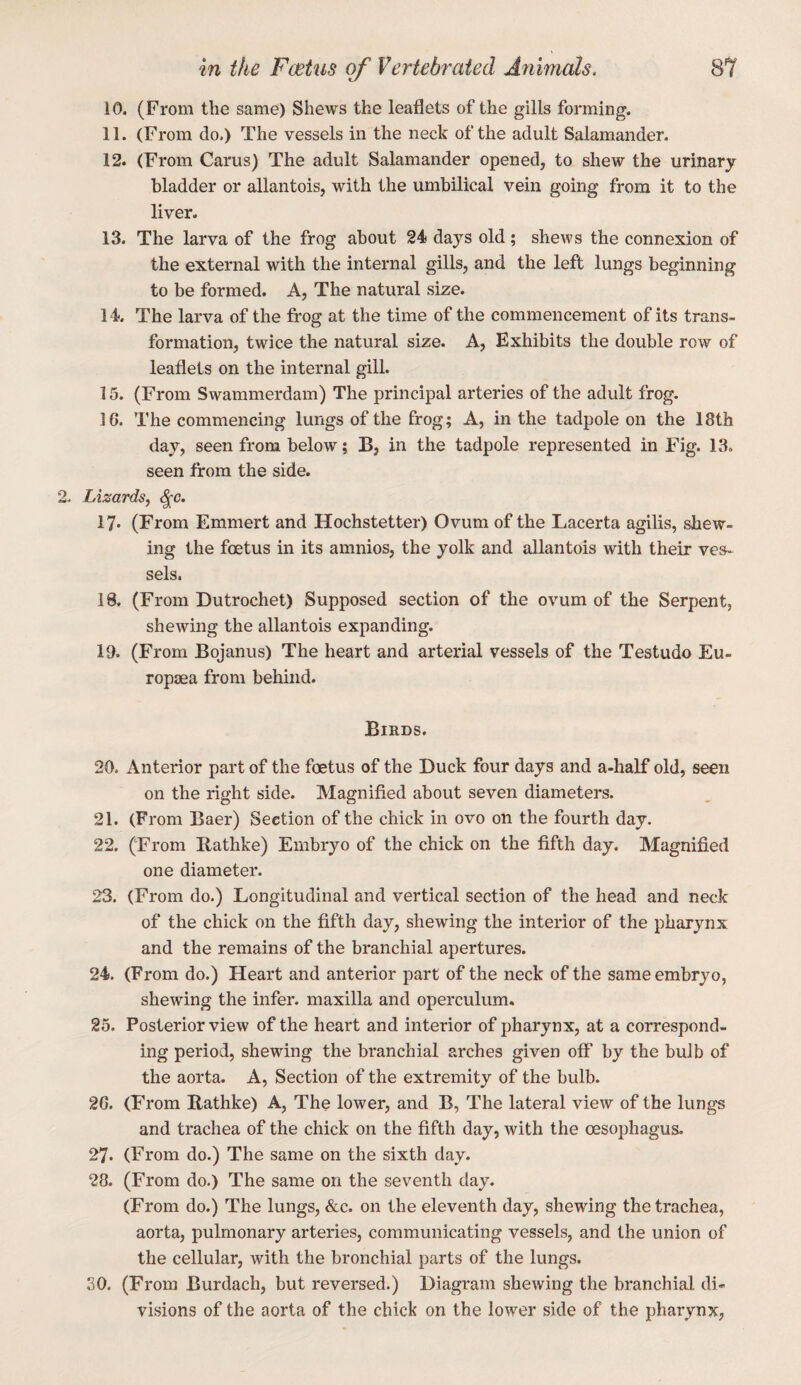 10. (From the same) Shews the leaflets of the gills forming. 11. (From do.) The vessels in the neck of the adult Salamander. 12. (From Carus) The adult Salamander opened, to shew the urinary bladder or allantois, with the umbilical vein going from it to the liver. 13. The larva of the frog about 24 days old; shews the connexion of the external with the internal gills, and the left lungs beginning to be formed. A, The natural size. 14. The larva of the frog at the time of the commencement of its trans¬ formation, twice the natural size. A, Exhibits the double row of leaflets on the internal gill. 15. (From Swammerdam) The principal arteries of the adult frog. 16. The commencing lungs of the frog; A, in the tadpole on the 18th day, seen from below; B, in the tadpole represented in Fig. 13. seen from the side. Lizards, ^o. 17* (From Emmert and Hochstetter) Ovum of the Lacerta agilis, shew¬ ing the foetus in its amnios, the yolk and allantois with their ves¬ sels. 10. (From Dutrochet) Supposed section of the ovum of the Serpent, shewing the allantois expanding. 19. (From Bojanus) The heart and arterial vessels of the Testudo Eu- ropaea from behind. Birds. 20. Anterior part of the foetus of the Duck four days and a-half old, seen on the right side. Magnified about seven diameters. 21. (From Baer) Section of the chick in ovo on the fourth day. 22. (From Bathke) Embryo of the chick on the fifth day. Magnified one diameter. 23. (From do.) Longitudinal and vertical section of the head and neck of the chick on the fifth day, shewing the interior of the pharynx and the remains of the branchial apertures. 24. (From do.) Heart and anterior part of the neck of the same embryo, shewing the infer, maxilla and operculum. 25. Posterior view of the heart and interior of pharynx, at a correspond¬ ing period, shewing the branchial arches given off by the bulb of the aorta. A, Section of the extremity of the bulb. 2G. (From Rathke) A, The lower, and B, The lateral view of the lungs and trachea of the chick on the fifth day, with the oesophagus. 27. (From do.) The same on the sixth day. 28. (From do.) The same on the seventh day. (From do.) The lungs, &c. on the eleventh day, shewing the trachea, aorta, pulmonary arteries, communicating vessels, and the union of the cellular, with the bronchial parts of the lungs. 30. (From Burdach, but reversed.) Diagram shewing the branchial di¬ visions of the aorta of the chick on the lower side of the pharynx,