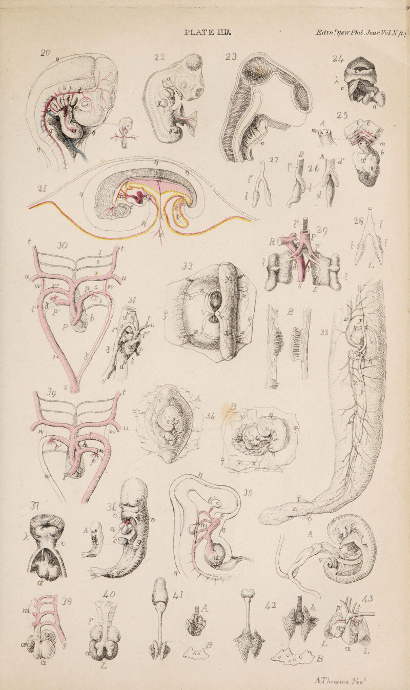 9 PLATE XO/. ' ^dmrnewPhil.JourVoJIK/iy ATk. ■cmsoti Fee