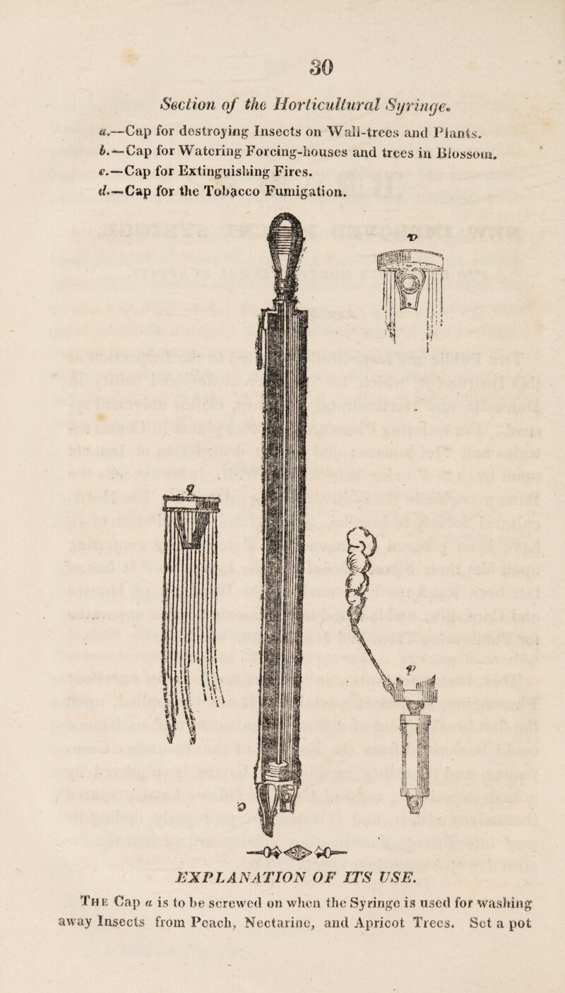 Section of the Horticultural Syringe• «.—Cap for destroying Insects on Wall-trees and Plants. b.~-Cap for Watering Forcing-houses and trees in Blossom. e.—Cap for Extinguishing Fires. f/»~Cap for the Tobacco Fumigation. ^0®-- EXPLANATION OF ITS USE. The Cap a is to be screwed on when the Syringe is used for washing away Insects from Peach, Nectarine, and Apricot Trees. Set a pot