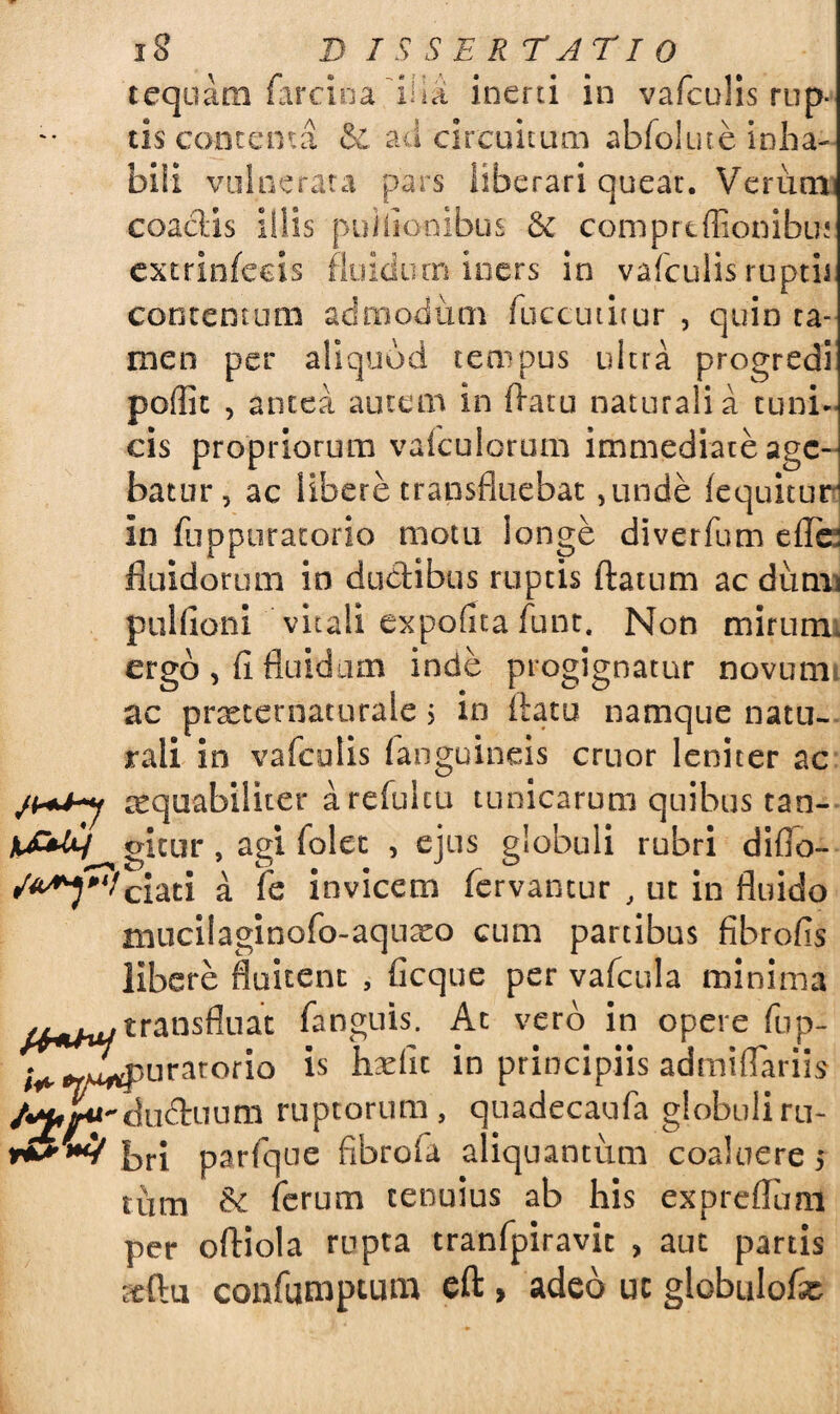 tequarn farcioa 'ilia, inerti in vafculis rup¬ tis contenta & ad circuitum abfol ut e inha¬ bili vai aerata pars liberari queat. Verum coactis illis puhiooibus & compreffionibui extrinfeeis fluidum iners in vafculis ruptu contentum admodum fuccutitur , quin ta¬ men per aliquod tempus ultra progredi poffic , antea autem in ftatu naturalia tuni¬ cis propriorum vafculorum immediate age¬ batur, ac libere transfluebat ,unde (equitur in fnppuratorio motu longe diverfum e(fe fluidorum in du&ibus ruptis flatum ac dumi pulfioni vitali expolita funt. Non mirum, ergo, fi fluidum inde progignatur novuni: ac pratternaturale > in flatu namque natu¬ rali in vafculis (anguineis eruor leniter ac aequabiliter arefulcu tunicarum quibus tan- K&ty gicur , agi folet , ejus globuli rubri diflo- /^J^ciati a fe invicem fervantur , ut in fluido mucilaginofo-aqnxo cum partibus fibrofis libere fluitent , ficque per vafcula minima transfluat fanguis. Ac vero in opere fup- v[T^#uratorio *s hxfn in principiis admiflariis ductuum ruptorum, quadecaufa globuli ru- parfque fibrofa aliquantum coaluere; tum & ierum tenuius ab his expreffum per oftiola rupta tranfpiravic , aut partis ttftu confumpeura eft, adeo uc globulofse