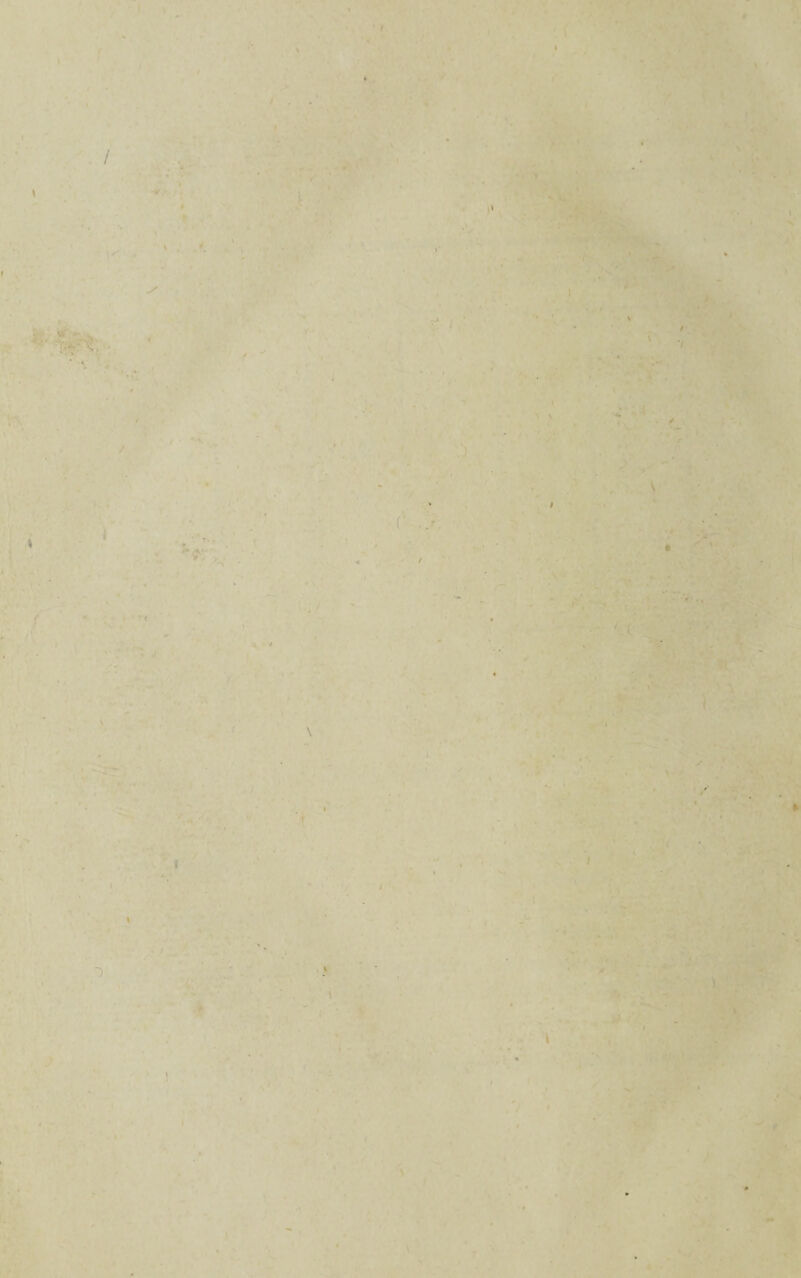 . ' / '. • ‘ ■ • . •/ >u * l . * 4 ' ' . / » * r z ■ ' • ' • , t •»' ; . • / - • e ' ■ : \ * - % > - * . ». ! • • '