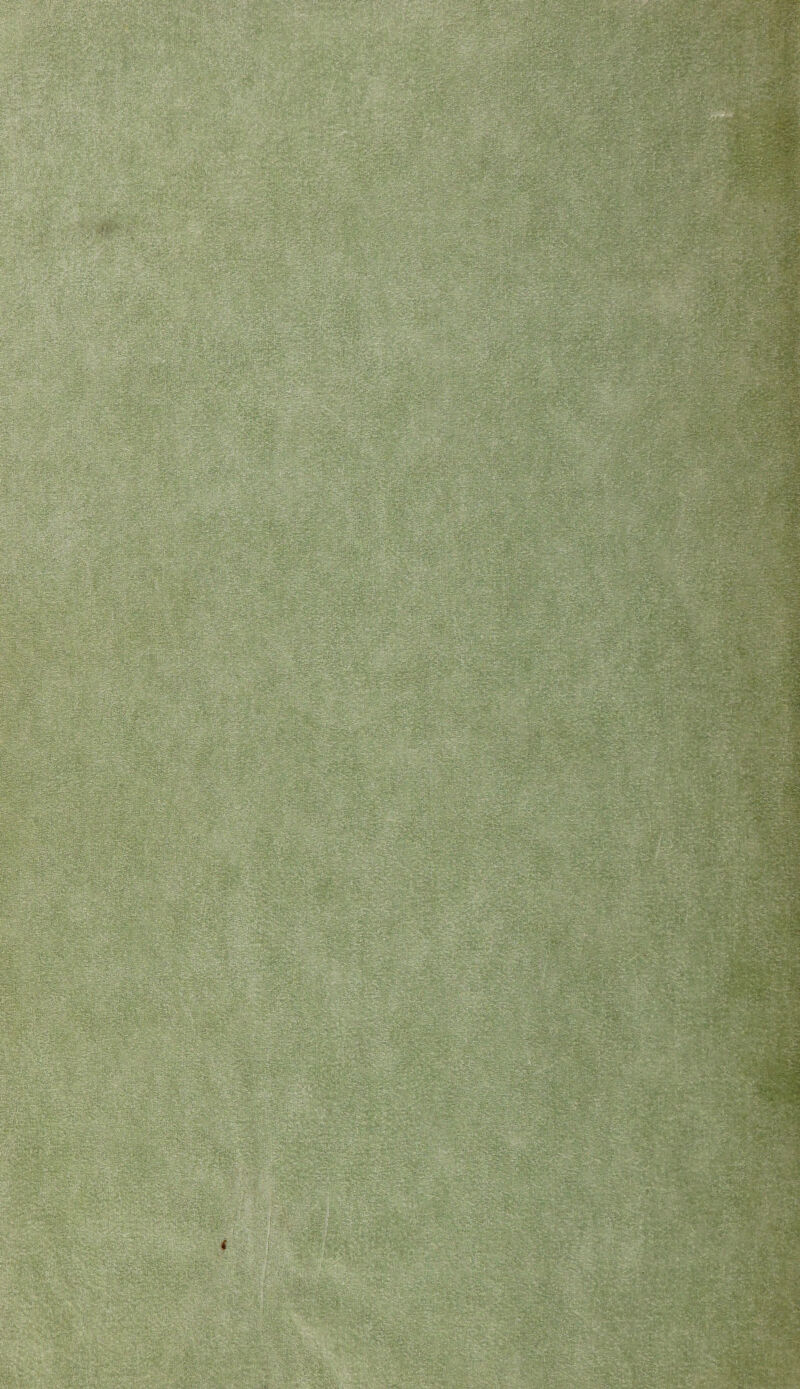 X'M. ?>>#*-: USIW® $83g|âg> .- lÉil ^ *JHHr1 mmmm :, :-• • /- Uêro* r ;& j£l£îS$'*®£ÿ - aâéSÉ * :^r{ ' ■-<•'. • 7i ■.x7<j£f£ —ypSpsjfëgi «r'^- î<?} :•.. v^;,\ ftelllIliÉ - ... . -.7 ,7.i* •. . j|l r - '■ :-Æ^ -•i$âB ■ &.*■■■: Mr