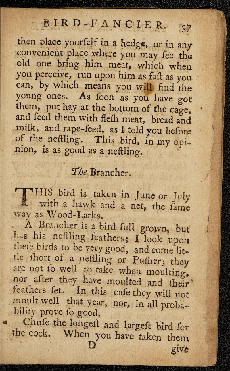 then place yourfelf in a hedge, or in any convenient place where you may fee the old one bring him meat, which when you perceive, run upon him as faft as you can, by which means you will find the young ones. As foon as you have got them, put hay at the bottom of the cage, and feed them with flefh meat, bread and milk, and rape-feed, as I told you before of the^ neftling. This bird, in my opi¬ nion, is as good as a neftling. The Brancher. THIS bird is taken in June or July with a hawk and a net, the fame way as Wood-Larks. A Brancher is a bird full grown, but has Jus neftling feathers; I look upon ineie birds to be very good, and come lit¬ tle fhort of a neftling or Pufher; they are not fo well to take when moulting nor after they have moulted and their feathers fet. In this cafe they will not moult well that year, nor, in all proba¬ bility prove fo good. * Chufe the longeft and largeft bird for the cock. When you have taken them gtvtr