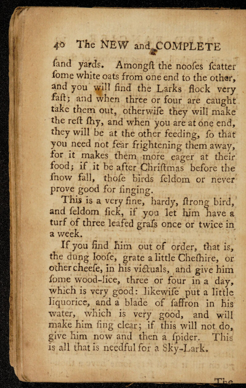 fand yards. Amongft the noofes fcatter fome white oats from one end to the other, and you will find the Larks flock very fafi; and when three or four are caught take them out, otherwife they will make the reft fhy, and when you are atone end, they will be at the other feeding, fo that you need not fear frightening them away, for it makes them more eager at their food; if it be after Chriftmas before the fnow fall, thofe birds feldom or never prove good for finging. This is a very fine, hardy, ftrong bird, and feldom lick, if you let him have a turf of three leafed grafs once or twice in a week. ' • „ * \ If you find him out of order, that is, the dung loofe, grate a little Cheihire, or other cheefe, In his vi£luals, and give him fome wood-lice, three or four in a day, which is very good: likewife put a little liquorice, and a blade of faffron in his water, which is very good, and will make him fing clear; if this will not do, give him now and then a fpider. This is all that is needful for a Sky-Lark.