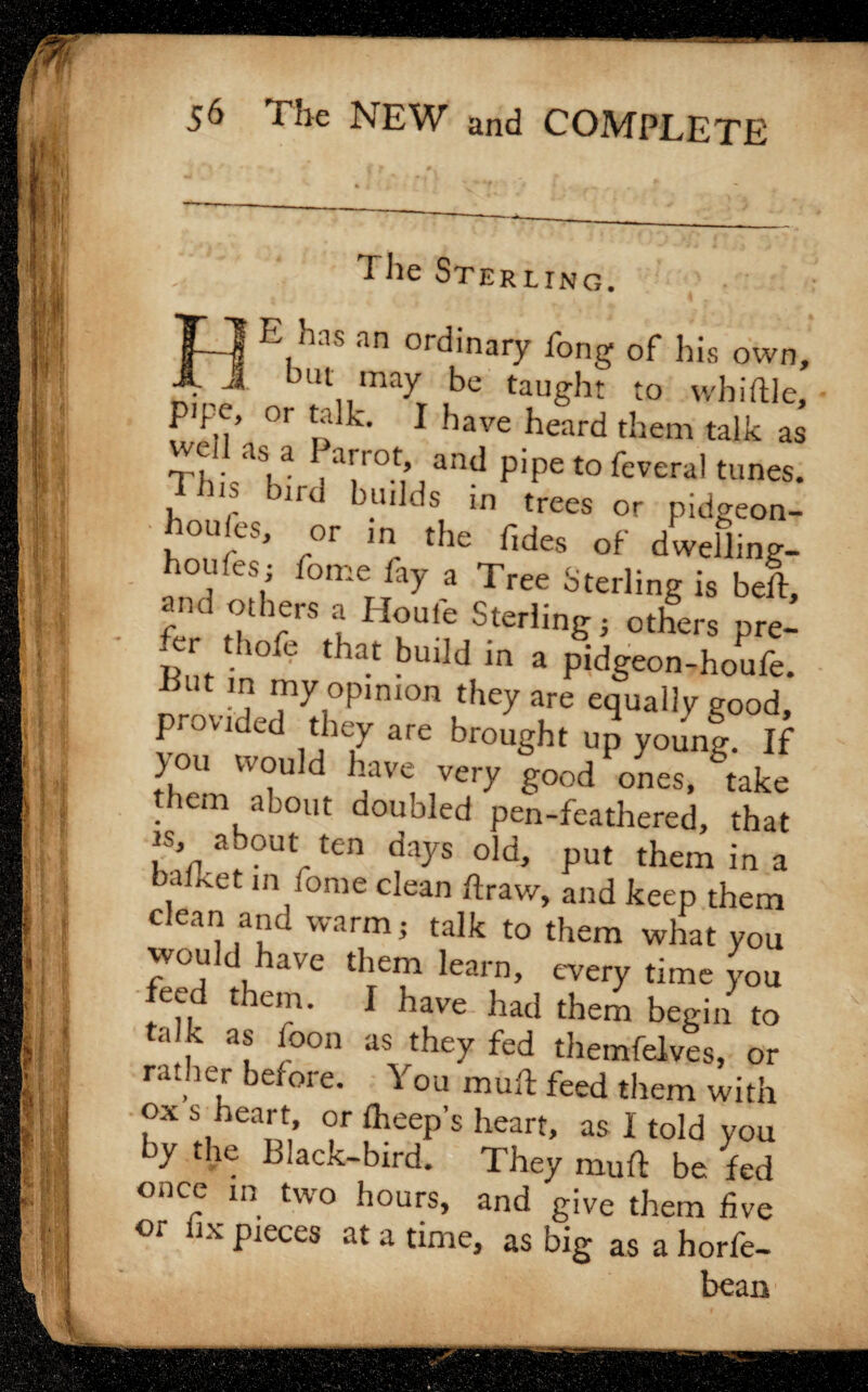 The Sterling. E has an ordinary fong of his own, -7 - but may be taught to whittle, P'P.|’ or talk- 1 have heard them talk as a as a 1 arrot, and pipe to feverai tunes. Th.s bird builds in trees or pidgeon- houfes, or m the fides of dwelling- houfes; fome lay a Tree Sterling is belt, and others a Houfe Sterling; others pre- But n°fe that bUlH m 3 Pidgeon-houfe. t in my opinion they are equally good, provided they are brought up young. If >ou would have very good ones, take them about doubled pen-feathered, that is, about ten days old, put them in a baUet in fome clean ftraw, and keep them clean and warm j talk to them what you cV°u u aVG tkem ^earn> every time you feed them. I have had them begin to talk as foon as they fed themfelves, or rather berore. You mu ft feed them with ox s heart, or Iheep’s heart, as I told you y the Liack-bird. They rnuft be fed once in two hours, and give them five or fix pieces at a time, as big as a horfe- bean