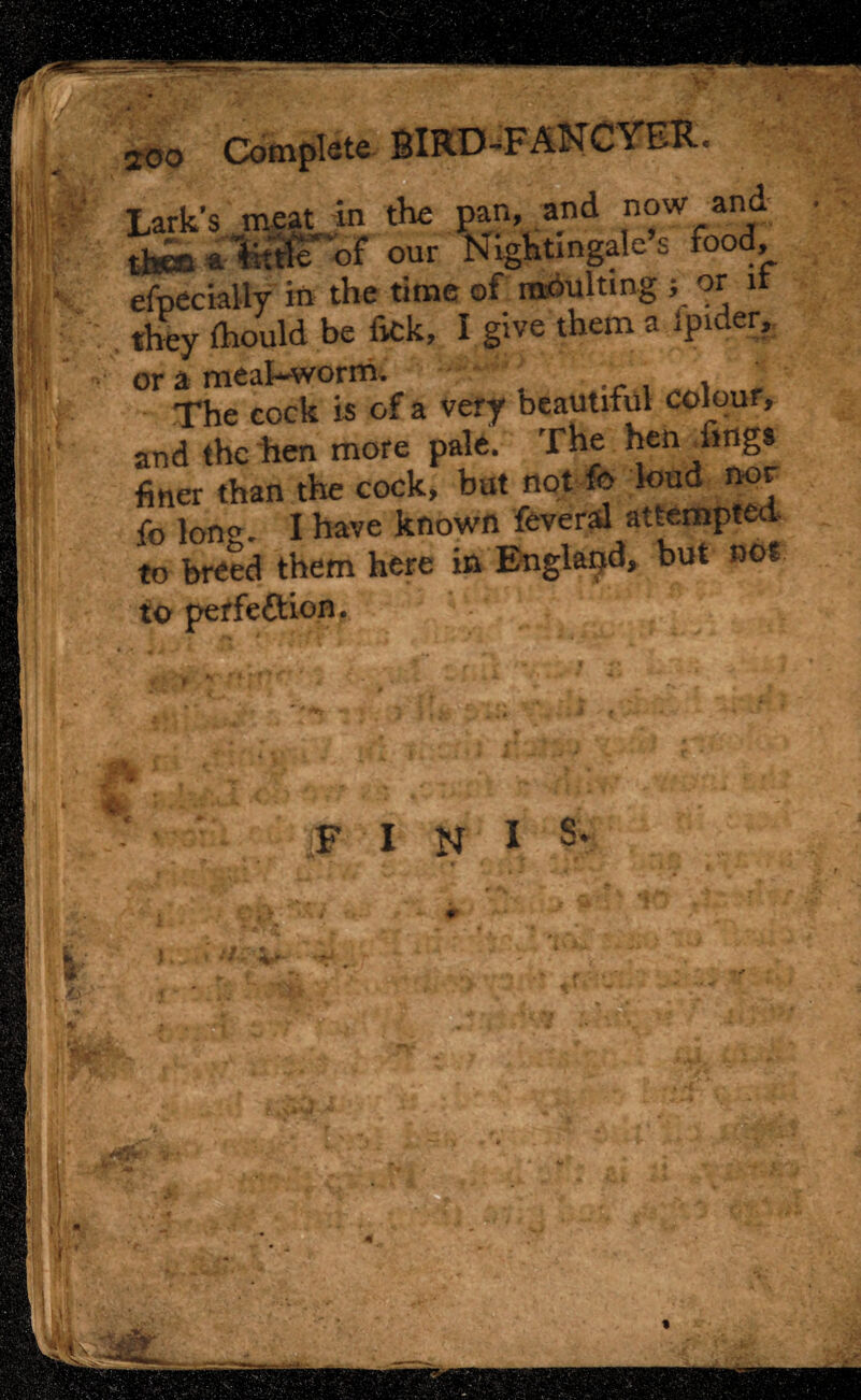 wm aoo Lark’s mmjn the pan, and now and *«of our Nightingale’s food, efpecially in the time of moulting ; or it they fhould be fick, I give them a ipider, or a meat-worm, ' . The eock is of a very beautiful colour, and the hen more pale. The hen Tings finer than the cock, but not f» loud nor fb lon«. I have known feveral attempted to breed them here in England, but not to perfeftion. • ’ F I N I S’ Via .1 ,'J v V v ■ 4 .,1 ', L~Xi J n