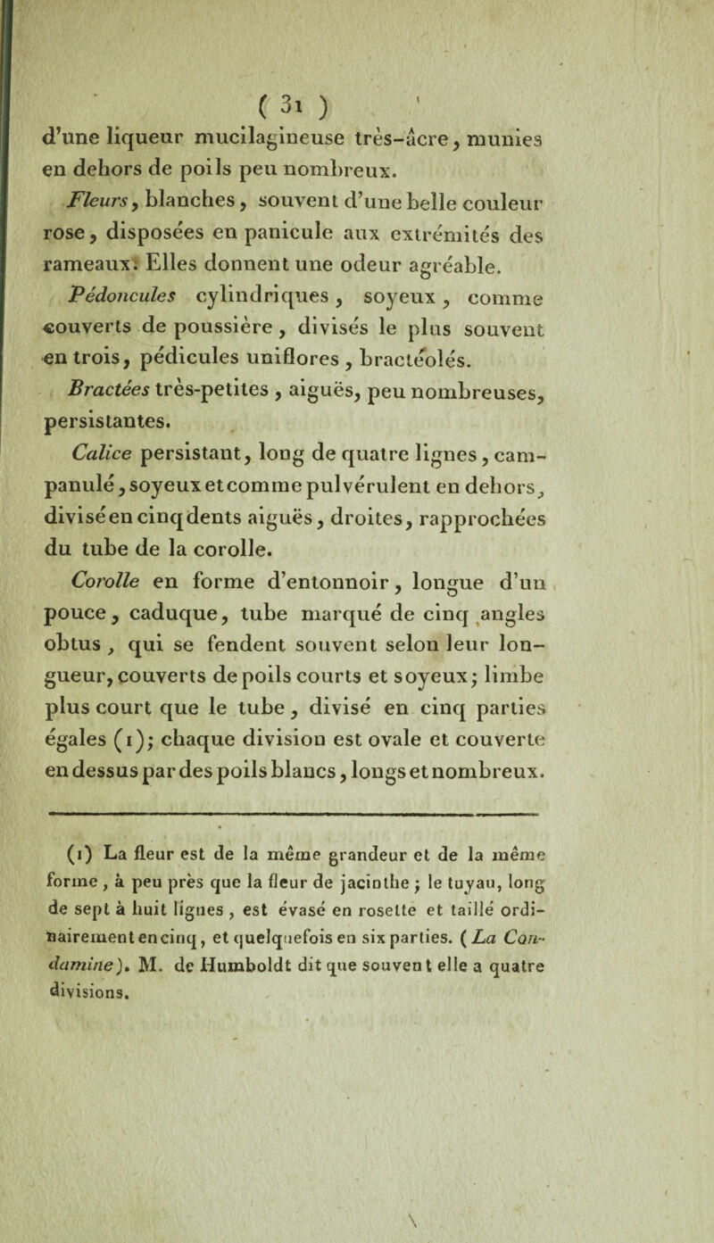 d’une liqueur mucilagineuse très-âcre, munies en dehors de poils peu nombreux. Fleurs, blanches, souvent d’une belle couleur rose, disposées en panicule aux extrémités des rameaux. Elles donnent une odeur agréable. Pédoncules cylindriques , soyeux , comme «ouverts de poussière , divisés le plus souvent en trois, pédicules uniflores , bractéoîés. Bractées très-petites , aiguës, peu nombreuses, persistantes. Calice persistant, long de quatre lignes , cam- panulé, soyeux et comme pulvérulent en dehors, divisé en cinq dents aiguës, droites, rapprochées du tube de la corolle. Corolle en forme d’entonnoir, longue d’un pouce , caduque, tube marqué de cinq angles obtus , qui se fendent souvent selon leur lon¬ gueur, couverts de poils courts et soyeux; limbe plus court que le tube, divisé en cinq parties égales (i); chaque division est ovale et couverte en dessus par des poils blancs, longs et nombreux. (i) La fleur est de la meme grandeur et de la même forme , à peu près que la fleur de jacinthe ; le tuyau, long de sept à huit ligues , est évasé en rosette et taillé ordi¬ nairement en cinq, et quelquefois en six parties. ( La Cou- domine). M. de Humboldt dit que souvent elle a quatre divisions.