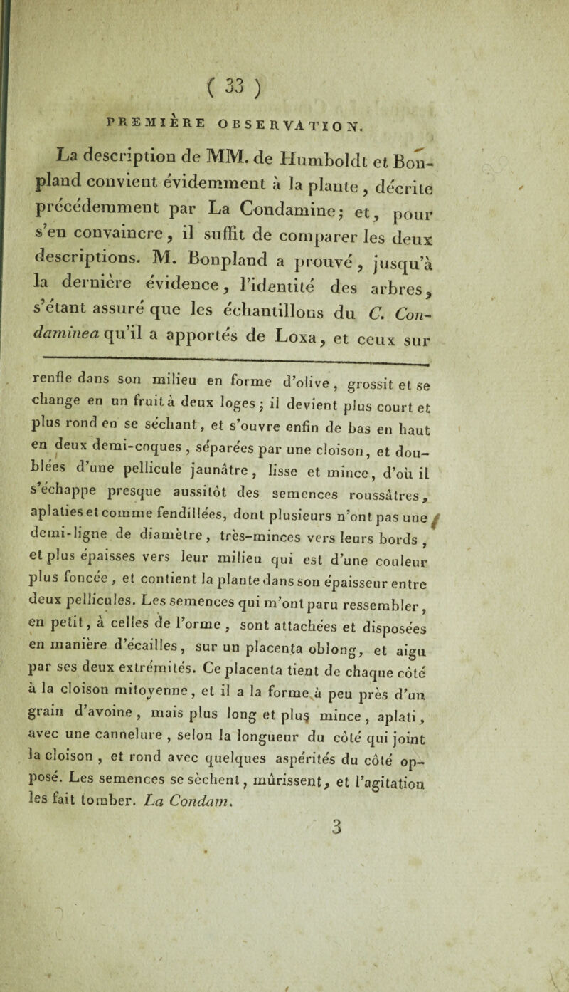 PREMIERE OBSERVATION. La description de MM. de Humboldt et Bon- pland convient évidemment a la plante , décrite précédemment par La Condamine; et, pour s’en convaincre, il suffit de comparer les deux descriptions. ]\L Bonpland a prouvé, jusqu’à la deimeie evidence, 1 identité des arbres, s’étant assuré que les échantillons du C. Cou- daminea qu’il a apportés de Loxa, et ceux sur renfle dans son milieu en forme d’olive , grossit et se change en un fruit à deux loges* il devient plus court et plus rond en se séchant, et s’ouvre enfin de bas en haut en deux demi-coques , séparées par une cloison, et dou¬ blées d’une pellicule jaunâtre, lisse et mince, d’où il s échappe presque aussitôt des semences roussâtres, aplaties et comme fendillées, dont plusieurs n’ont pas une f demi-ligne de diamètre, très-minces vers leurs bords , et plus épaisses vers leur milieu qui est d’une couleur plus foncée, et confient la plante dans son épaisseur entre deux pellicules. Les semences qui m’ont paru ressembler , en petit, à celles de l’orme , sont attachées et disposées en manière d écailles, sur un placenta oblong, et aigu par ses deux extrémités. Ce placenta tient de chaque coté à la cloison mitoyenne, et il a la forme à peu près d’un grain d avoine , mais plus long et plu§ mince , aplati , avec une cannelure , selon la longueur du coté qui joint la cloison , et rond avec quelques aspérités du côté op¬ posé. Les semences se sèchent, mûrissent, et l’agitation les fait tomber. La Condam. 3