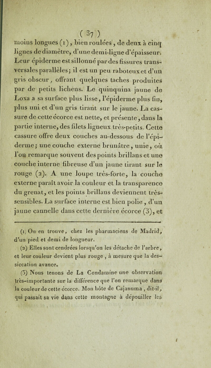 I ( 37 ) moins longues (1), Lien roulées , de deux à cinq lignes de diamètre, d’une demi-ligne d’épaisseur. Leur épiderme est sillonné par des fissures trans¬ versales parallèles; il est un peu raboteux et d’un gris obscur, offrant quelques taches produites par de petits lichens. Le quinquina jaune de Loxa a sa surface plus lisse, l’épiderme plus fin, plus uni et d’un gris tirant sur le jaune. La cas¬ sure de cette ecorce est nette, et présente, dans la partie interne, des filets ligneux très-petits. Cette cassure offre deux couches au-dessous de l’épi- derme; une couche externe brunâtre, unie, où l’on remarque souvent des points brillans et une couche interne fibreuse d’un jaune tirant sur le rouge (2). A une loupe très-forte, la couche externe paraît avoir la couleur et la transparence du grenat, et les points brillans deviennent très- sensibles. La surface interne est bien polie , d’un jaune cannelle dans cette dernière écorce (3), et (ij On en trouve, chez les pharmaciens de Madrid, d’un pied et demi de longueur. (2) Elles sont cendrées lorsqu’on les détache de l’arbre, et leur couleur devient plus rouge , à mesure que la des¬ siccation avance. (5) Nous tenons de La Condamine une observation, très-importante sur la différence que l’on remarque dans la couleur de cette écorce. Mon hôte de Cajanuma , dit-il, qui passait sa yie dans cette montagne à dépouiller les t