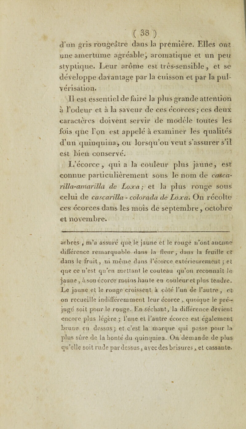 d’un gris rougeâtre dans la première. Elles om une amertume agréable, aromatique et un peu stypiique. Leur arôme est très-sensible, et se développe davantage par la cuisson et par la pul¬ vérisation. Il est essentiel de faire la plus grande attention â fodeur et à la saveur de ces écorces; ces deux caractères doivent servir de modèle toutes les fois que Ton est appelé à examiner les qualités d’un quinquina, ou lorsqu’on veut s’assurer s’il est bien conservé. L’écorce, qui a la couleur plus jaune, est connue particulièrement sous le nom de casca- rilla-amarilla de Looca ; et la plus rouge sous celui de cascarillci - colorada de Loxa, On récolte ces écorces dans les mois de septembre, octobre et novembre. arbres , m’a assuré que le jaune et le rouge n’ont aucune différence remarquable dans la fleur, dans la feuille et dans le fruit, ni même dans l’écorce extérieurement ; et que ce n’est qu’en mettant le couteau qu’on reconnaît le jaune, a son écorce moins haute en couleur et plus tendre. Le jaune et le rouge croissent à coté l’un de l’autre , et on recueille indifféremment leur écorce > quoique le pré¬ jugé soit pour le rouge. En scellant, la différence devient encore plus légère ; l’une et l’autre écorce est également brune en dessus; et c’est la' marque qui passe pour la plus sûre de la bonté du quinquina. On demande de plus qu’elle soit rude pardessus, ayee des brisures, et cassante.