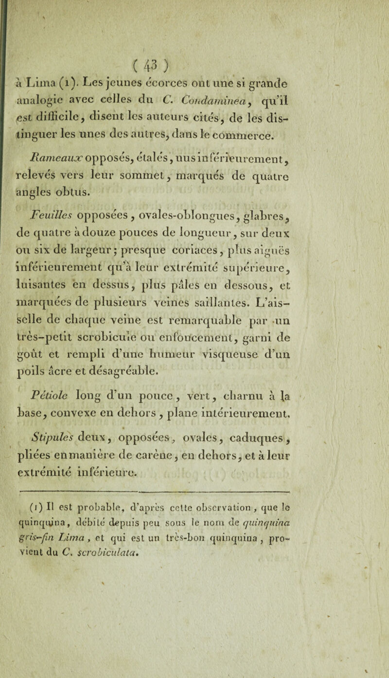 a Lima (1). Les jeunes écorces ont une si grande analogie avec celles du C. Coud amine a, qu’il est difficile, disent les auteurs cités, de les dis¬ tinguer les unes des autres, dans le commerce. Rameaux opposés, étalés, nus in férieurement, relevés vers leur sommet, marqués de quatre angles obtus. Feuilles opposées, ovales-obîongues, glabres, de quatre à douze pouces de longueur, sur deux ou six de largeur; presque coriaces, plus aiguës inférieurement qu’à leur extrémité supérieure, luisantes en dessus, plus pâles en dessous, et marquées de plusieurs veines saillantes. L’ais¬ selle de chaque veine est remarquable par un très-petit scrobicule ou enfoncement, garni de goût et rempli d’une humeur visqueuse d’un poils âcre et désagréable. Pétiole long d’un pouce, vert, charnu à la base, convexe en dehors , plane intérieurement. Stipules deux, opposées y ovales, caduques , pliées enmanière de carène, en dehors, et à leur extrémité inférieure. (i) Il est probable, d’après celte observation, que !e quinquina, débité depuis peu sous le nom de quincpiina gris-fin Lima , et qui est un très-bon quinquina , pro¬ vient du C. scrobiculata•