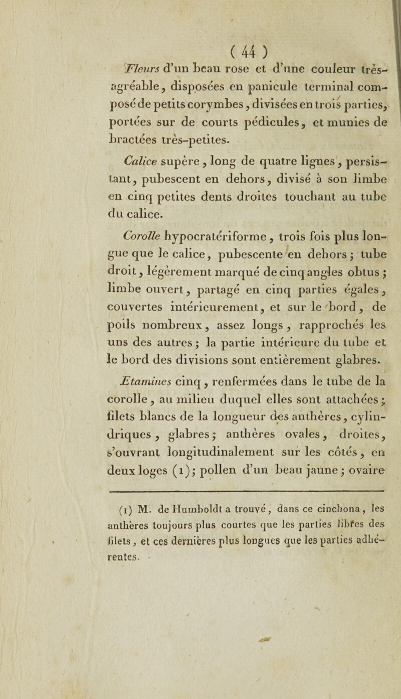 Fleurs d’un beau rose et d’une couleur très- agréable, disposées en particule terminal com¬ posé de petits cory mbes, divisées en trois parties, portées sur de courts pédicules, et munies de bractées très-petites. Calice supère , long de quatre lignes , persis¬ tant, pubescent en dehors, divisé à son limbe en cinq petites dents droites touchant au tube du calice. Corolle hypocratériforme , trois fois plus lon¬ gue que le calice, pubescente en dehors ; tube droit, légèrement marqué de cinq angles obtus ; limbe ouvert, partagé en cinq parties égales, couvertes intérieurement, et sur le bord, de poils nombreux, assez longs, rapprochés les uns des autres ; la partie intérieure du tube et le bord des divisions sont entièrement glabres. Etamines cinq, renfermées dans le tube de la corolle, au milieu duquel elles sont attachées; filets blancs de la longueur des anthères, cylin¬ driques , glabres; anthères ovales, droites, s’ouvrant longitudinalement sur les cotés, en deux loges (1); pollen d’un beau jaune ; ovaire (i) M. de Humboldt a trouvé , dans ce cinchona , les anthères toujours plus courtes que les parties libfes des Mets, et ces dernières plus longues que les parties adhé¬ rentes. - i