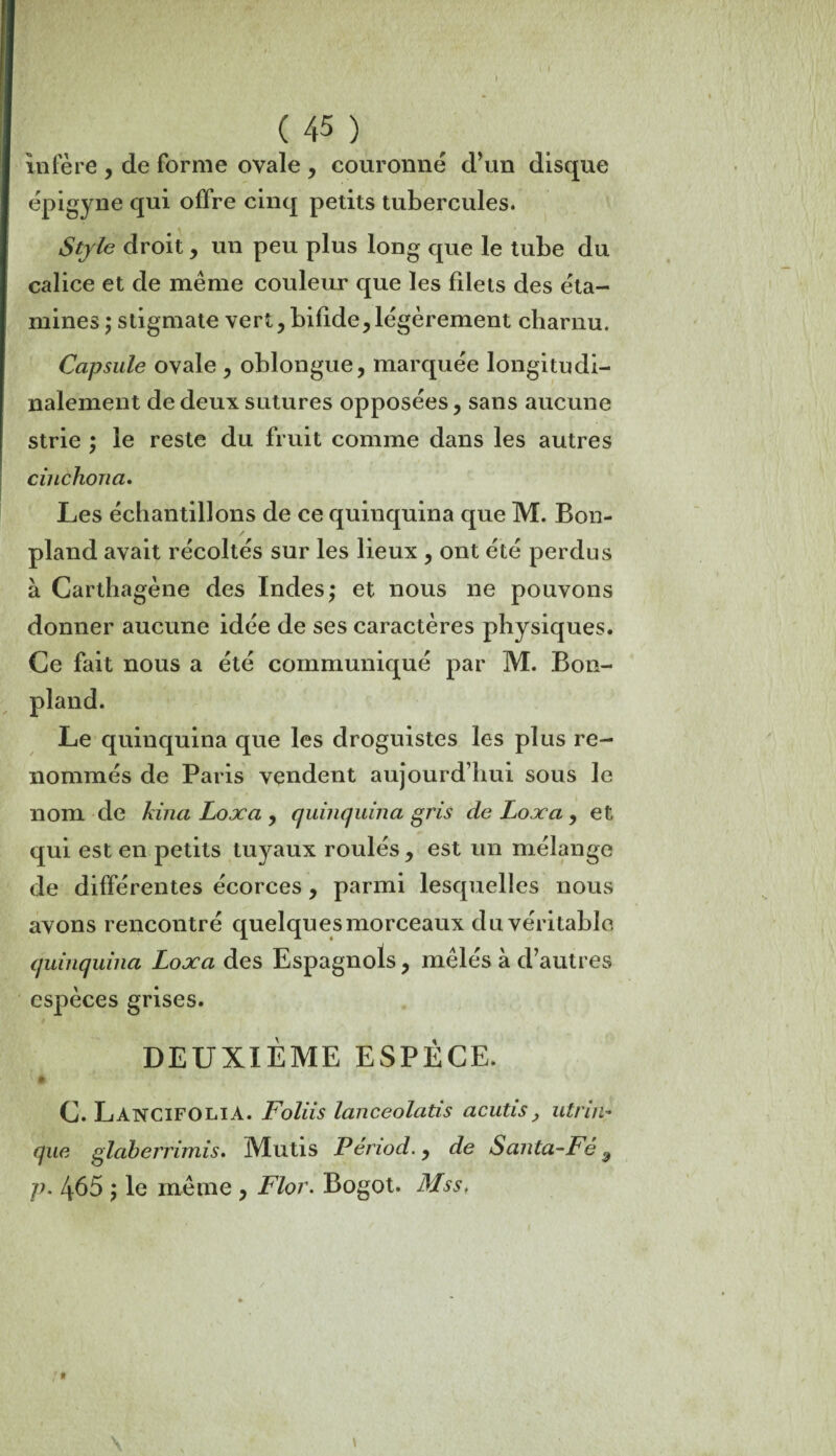 ( 45 ) infère , de forme ovale , couronné d’un disque épigyne qui offre cinq petits tubercules. Style droit , un peu plus long que le tube du calice et de même couleur que les filets des éta¬ mines ; stigmate vert, bifide,légèrement charnu. Capsule ovale , oblongue, marquée longitudi¬ nalement de deux sutures opposées, sans aucune strie ; le reste du fruit comme dans les autres cinchona. Les échantillons de ce quinquina que M. Bon- pland avait récoltés sur les lieux , ont été perdus à Carthagène des Indes; et nous ne pouvons donner aucune idée de ses caractères physiques. Ce fait nous a été communiqué par M. Bon- pland. Le quinquina que les droguistes les plus re¬ nommés de Paris vendent aujourd’hui sous le nom de kina Loxa , quinquina gris de Loxa , et qui est en petits tuyaux roulés , est un mélange de différentes écorces, parmi lesquelles nous avons rencontré quelques morceaux du véritable quinquina Loxa des Espagnols, mêlés à d’autres espèces grises. DEUXIÈME ESPÈCE. C. LancifoliA. Foliis lanceolatis a cuti s, utrin* que glaberrimis. Mutis Pénod., de Santa-Fè 9 p. 465 ; le même , Flor. Bogot. Mss.