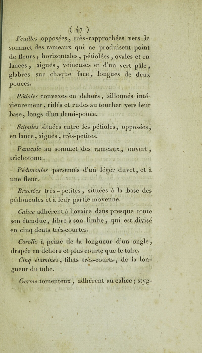 Feuilles opposées, très-rapprochées vers le sommet des rameaux qui ne produisent point de fleurs ; horizontales , pétiolées , ovales et en lances , aiguës , veineuses et d’un vert pâle, glabres sur chaque face, longues de deux pouces. Pétioles convexes en dehors, sillonnés inté¬ rieurement, ridés et rudes au toucher vers leur base, longs d’un demi-pouce. Stipules situées entre les pétioles, opposées, en lance, aiguës , très-petites. Panicule au sommet des rameaux, ouvert , trichotome. Péduncules parsemés d’un léger duvet, et à une fleur. Bractées très - petites, situées à la base des pédoncules et à leur partie moyenne. Calice adhérent à l’ovaire dans presque toute son étendue, libre à son limbe, qui est divisé en cinq dents très-courtes. Corolle à peine de la longueur d’un ongle, drapée en dehors et plus courte que le tube. Cinq étamines, filets très-courts, de la Ion- gueur du tube. Germe tomenteux , adhérent au calice ) styg- *