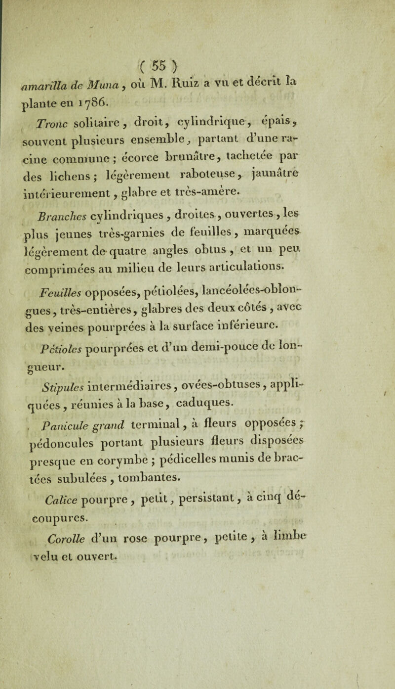 amarilla de Muna, où M. Ruiz a vu et décrit la plante en 1786. Tronc solitaire , droit, cylindrique, épais, souvent plusieurs ensemble, partant d’une ra¬ cine commune; ecorce brunâtre, tachetee par des lichens ; légèrement raboteuse, jaunâtre intérieurement, glabre et tres-amere. Branches cylindriques , droites , ouvertes , les plus jeunes très-garnies de feuilles, marquées légèrement de* quatre angles obtus, et un peu comprimées au milieu de leurs articulations. Feuilles opposées, péliolées, lancéolées-oblon- gues, très-entières, glabres des deux côtes , avec des veines pourprées à la surface inférieure. Pétioles pourprées et d’un deini-pouce de lon¬ gueur. Stipules intermédiaires , ovées-obtuses, appli¬ quées , réunies a la base, caduques. . Panicule grand terminal, à fleurs opposées ; pédoncules portant plusieurs fleurs disposées presque en corymbe ; pédicelles munis de brac¬ tées subulées , tombantes. Calice pourpre , petit, persistant, à cinq dé¬ coupures. Corolle d’un rose pourpre, petite , à limbe velu et ouvert.