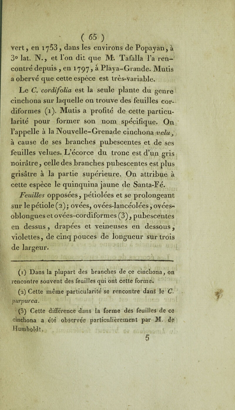 vert, en iy53, dans les environs de Popayati, à 3° lat. N., et l’on dit que M. Tafalla l’a ren¬ contré depuis , en 1797, à Playa-Grande. Mutis a obervé que cette espèce est très-variable. Le C. cordifolia est la seule plante du genre cinchona sur laquelle on trouve des feuilles cor- diformes (1). Mutis a profité de cette particu¬ larité pour former son nom spécifique. On l’appelle à la Nouvelle-Grenade cinchona velu, à cause de ses branches pubescentes et de ses feuilles velues. L’écorce du tronc est d’un gris noirâtre, celle des branches pubescentes est plus grisâtre à la partie supérieure. On attribue à cette espèce le quinquina jaune de Santa-Pé. Feuilles opposées, pétiolées et se prolongeant sur le pétiole (2) ; ovées, ovées-lancéolées, ovées- oblonguesetovées-cordiformes (3), pubescentes en dessus, drapées et veineuses en dessous, violettes, de cinq pouces de longueur sur trois de largeur. (1) Dans la plupart des branches de ce cinchona, on rencontre souvent des feuilles qui ont cette forme. (2) Cette même particularité se rencontre dan$ le C. purpurea. (5) Cette différence dans la forme des feuilles de ce cinchona a été observée particulièrement par M, de Humboîdt, 5