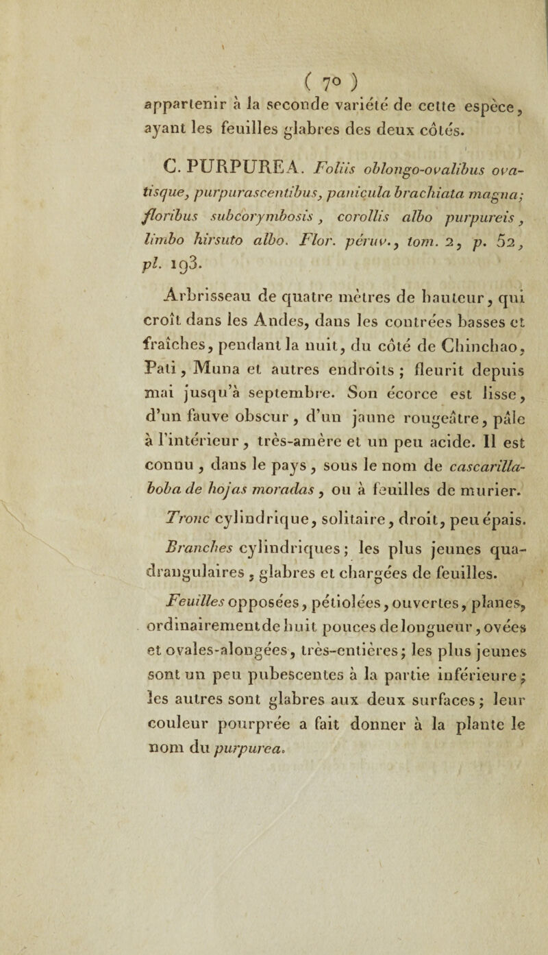 appartenir à Ja seconde variété de celte espèce, ayant les feuilles glabres des deux côtés. i C. PURPUREA. Foliis oblongo-ovalibus ova- tisque} purpurascentibus, panicula brachiata magna; floribus subcorymbosis, corollis albo purpureis, limbo hirsuto albo. Flor. péruv., lom. 2, p. 52, pl. iq3. Arbrisseau de quatre mètres de hauteur, qui croît dans les Andes, dans les contrées basses et fraîches, pendant la nuit, du côté de Chinchao, Pati, Mima et autres endroits ; fleurit depuis mai jusqu’à septembre. Son écorce est lisse, d’un fauve obscur , d’un jaune rougeâtre, pâle à l’intérieur, très-amère et un peu acide. Il est connu , dans le pays, sous le nom de cascarilla- bobacle hojas moradas, ou à feuilles de mûrier. Tronc cylindrique, solitaire, droit, peu épais. Branches cylindriques ; les plus jeunes qua- drangulaires , glabres et chargées de feuilles. Feuilles opposées, pétioîées, ouvertes, planes, ordinairementde huit pouces de longueur, ovées et ovaîes-alongées, très-entières; les plus jeunes sont un peu pubescentes à la partie inférieure ; les autres sont glabres aux deux surfaces; leur couleur pourprée a fait donner à la plante le nom du purpurea.