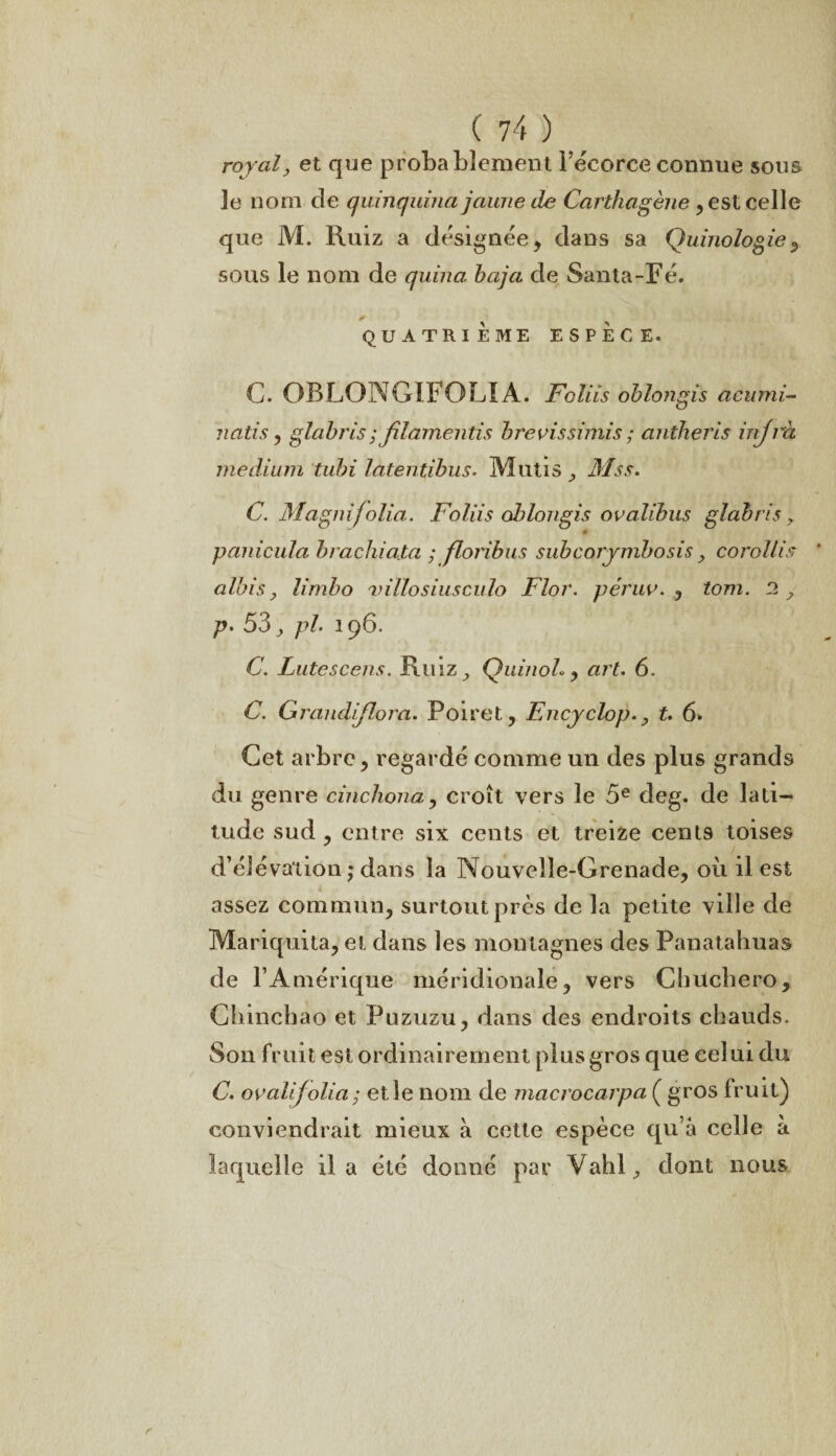 royal, et que probablement l’écorce connue sous le nom de quinquina jaune de Carthagène , est celle que M. Ruiz a désignée, dans sa Quinologie ^ sous le nom de quina baja de Santa-Fé. QUATRIÈME ESPECE. C. OBLONGIFOLIA. Foliis oblongis acumi- natis, glabris ; filamentis brevissimis ; antheris injrà medium tubi latentibus. Mutis Mss. C. Magnifolia. Foliis oblongis ovalibus glabris, ê panicula brachiata ; floribus subcorymbosis, corollis albis y limbo villosiusculo Flor. péruv. , tom. 2 y p. 53, ph 196. C. Lutescens. Rmz; QuinoL , art. 6. C. Grandiflora. Poiret, Fncyclop.> t. 6- Cet arbre, regardé comme un des plus grands du genre cinchona, croît vers le 5e deg. de lati¬ tude sud , entre six cents et treize cents toises d’élévation ; dans la Nouvelle-Grenade, où il est assez commun, surtout près de la petite ville de Mariquita, et dans les montagnes des Panatahuas de l’Amérique méridionale, vers Chuchero, Cbmchao et Puzuzu, dans des endroits chauds. Son fruit est ordinairement plus gros que celui du C. ovalifolia; elle nom de macrocavpa ( gros fruit) conviendrait mieux à cette espèce qu’à celle à laquelle il a été donné par Vahl., dont nous s