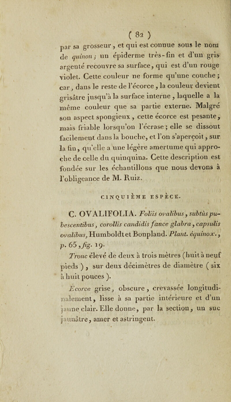 par sa grosseur , et qui est conuue sous le nom de q iiinon ; un épiderme très-fin et d’un gris argenté recouvre sa surface, qui est d’un rouge violet. Cette couleur ne forme qu’une couche ; car, dans le reste de l’écorce , la couleur devient grisâtre jusqu’à la surface interne , laquelle a la même couleur que sa partie externe. Malgré son aspect spongieux , cette écorce est pesante , mais friable lorsqu’on l’écrase ; elle se dissout facilement dans la bouche, et l’on s’aperçoit, sur la fin, quelle a une légère amertume qui appro¬ che de celle du quinquina. Cette description est fondée sur les échantillons que nous devons à l’obligeance de M. Ruiz. y CINQUIÈME ESPÈCE. C. OVALIFOLIA. Foliis ovalibus, subtùspu- bescentibus, corollis candidis fauce glabra, capsulis ovalibus, Humboldtet Bonpland. Plant. équinox., P• 65,/#. 19* Tronc élevé de deux à trois mètres (huit à neuf pieds ) , sur deux décimètres de diamètre ( six à huit pouces ). Écorce grise, obscure, crevassée longitudi¬ nalement, lisse à sa partie intérieure et d’un jaune clair. Elle donne, par la section, un suc jaunâtre, amer et astringent.