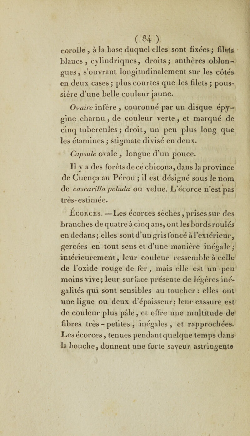 corolle , à la base duquel elles sont fixées ; filets blancs, cylindriques, droits; anthères oblon- gues, s’ouvrant longitudinalement sur les côtés en deux cases ; plus courtes que les filets ; pous¬ sière d’une belle couleur jaune. Ovaire infère , couronné par un disque épy- gine charnu, de couleur verte, et marqué de cinq tubercules; droit, un peu plus long que les étamines ; stigmate divisé en deux. Capsule ovale , longue d’un pouce. Il y a des forets de ce cbicona, dans la province de Cuença au Pérou ; il est désigné sous le nom de cascarilla peluda ou velue. L’écorce n’est pas très-estimée. a Ecorces. —Les écorces sèches, prises sur des branches de quatre à cinq ans, ont les bords roulés en dedans; elles sont d’un gris foncé à l’extérieur, gercées en tout sens et d’une manière inégale; intérieurement, leur couleur ressemble à celle de l’oxide rouge de fer, mais elle est un peu moins vive; leur surface présente de légères iné¬ galités qui sont sensibles au toucher : elles ont une ligne ou deux d’épaisseur; leur cassure est de couleur plus pâle, et offre une multitude de fibres très - petites , inégales, et rapprochées. Les écorces, tenues pendant quelque temps dans 3a bouche, donnent une forte saveur astringente