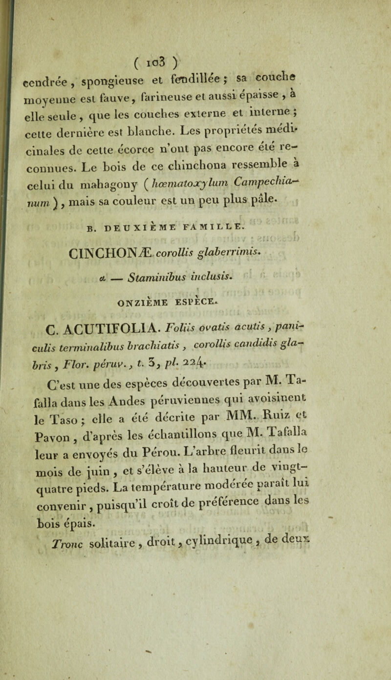 cendrée , spongieuse et fendillée ; sa couclie moyenne est fauve, farineuse et aussi épaisse , à elle seule , que les couches externe et interne ; celte dernière est blanche. Les propriétés médi¬ cinales de cette écorce n’ont pas encore été re¬ connues. Le bois de ce chinchona ressemble à celui du mahagony ( hœmatoxylum Campechia- num ) , mais sa couleur est un peu plus pâle. B. DEUXIEME FAMILLE. ■ 4 , S , , , * » ; ■ ; ♦ ;*>};( ; CINCHONÆ corollis glaberrimis. cl — Staminibus inclusis. ï ; , 1^,. i r s \ \ \ f % À f ONZIÈME ESPÈCE. C. ACUTIFOL1A. Foliis ovatis acutis , pani- culis terminalibus brachiatis , corollis candidis g la- bris , Flor. pêruv. ? t. 5, pl• 224* C’est une des espèces découvertes par M. Ta- falla dans les Andes péruviennes qui avoisinent le Taso ; elle a été décrite par MM. Ruiz et Pavon , d’après les échantillons que M. Tafalla leur a envoyés du Pérou. L arbre fleurit dans le mois de juin , et s’eleve a la liauteui de vingt quatre pieds. La température modérée paraît lux convenir , puisqu’il croît de préférence dans les bois épais. Tronc solitaire , droit, cylindrique , de deux V ■v 4