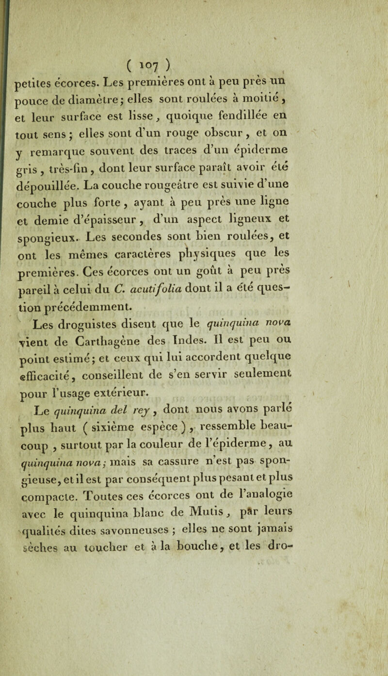 petites écorces. Les premières ont à peu près un pouce de diamètre; elles sont roulées à moitié , et leur surface est lisse, quoique fendillée en tout sens ; elles sont d’un rouge obscur, et on y remarque souvent des traces d’un épiderme gris , très-fin , dont leur surface paraît avoir été dépouillée. La couche rougeâtre est suivie d’une couche plus forte , ayant à peu près une ligne et demie d’épaisseur, d’un aspect ligneux et spongieux. Les secondes sont bien roulées, et ont les mêmes caractères physiques que les premières. Ces écorces ont un goût a peu près pareil à celui du (7. acutifolia dont il a été ques¬ tion précédemment. Les droguistes disent que le quinquina nova vient de Carthagène des Indes. Il est peu ou point estimé; et ceux qui lui accordent quelque efficacité, conseillent de s’en servir seulement pour l’usage extérieur. Le quinquina del rey, dont nous avons parlé plus haut ( sixième espèce ) , ressemble beau¬ coup , surtout par la couleur de l’épiderme, au quinquina nova ; mais sa cassure n est pas spon¬ gieuse, et il est par conséquent plus pesant et plus compacte. Toutes ces écorces ont de l’analogie avec le quinquina blanc de Mulis pâr leurs qualités dites savonneuses ; elles ne sont jamais sèches au toucher et à la bouche, et les dro-