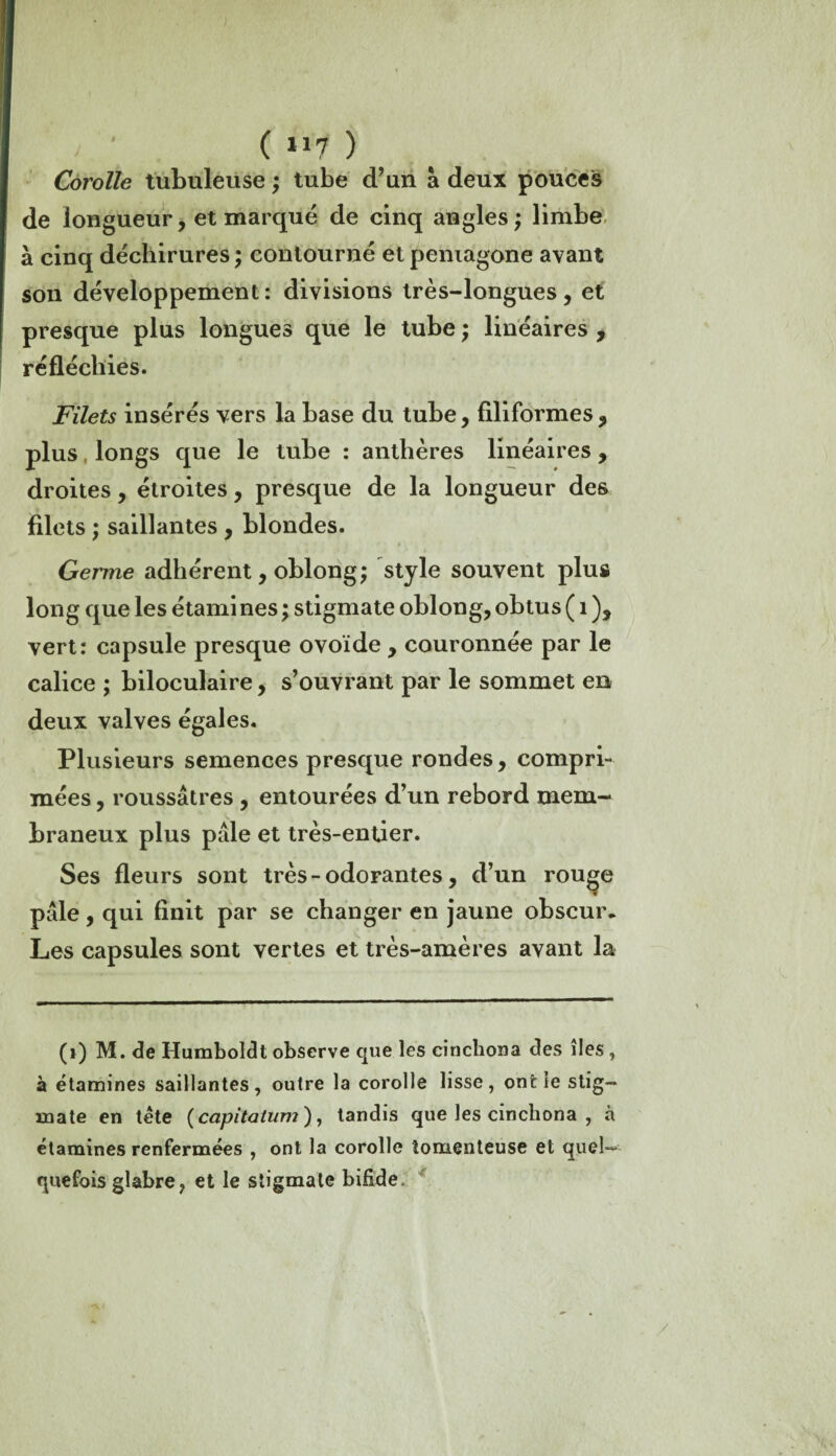 / ' ( 7 ) Corolle tubuleuse ; tube d’un a deux pouces de longueur, et marqué de cinq angles; limbe à cinq déchirures ; contourné et pentagone avant son développement: divisions très-longues, et presque plus longues que le tube ; linéaires , réfléchies. Filets insérés vers la base du tube, filiformes, plus longs que le tube : anthères linéaires, droites, étroites, presque de la longueur des filets ; saillantes , blondes. Germe adhérent, oblong; style souvent plus long que les étamines ; stigmate oblong, obtus ( 1 ), vert: capsule presque ovoïde , couronnée par le calice ; biloculaire, s’ouvrant par le sommet en deux valves égales. Plusieurs semences presque rondes, compri¬ mées , roussâtres , entourées d’un rebord mem- V braneux plus pâle et très-entier. Ses fleurs sont très - odorantes, d’un rouge pâle, qui finit par se changer en jaune obscur» Les capsules sont vertes et très-amères avant la (i) M. de Humboldl observe que les ci n chou a des îles , à étamines saillantes, outre la corolle lisse, ont ie stig¬ mate en tète ( capitatum ), tandis que les cinchona , à étamines renfermées , ont la corolle tomenteuse et quel¬ quefois glabre, et le stigmate bifide.