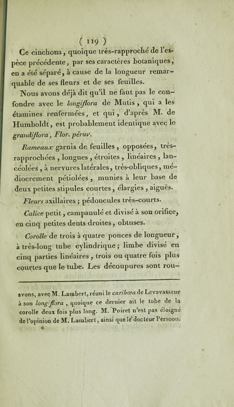 ( ^ ^ , Ce cinchona, quoique très-rapproclié de Ves- pèce précédente, par ses caractères botaniques, en a été séparé , à cause de la longueur remar¬ quable de ses fleurs et de ses feuilles. Nous avons déjà dit qu’il ne faut pas le con¬ fondre avec le longiflora de Mutis , qui a les étamines renfermées, et qui , d’après M. de Humboldt, est probablement identique avec le grandiflora, Flor. pèruv. Rameaux garnis de feuilles , opposées, très- rapprochées , longues , étroites , linéaires , lan¬ céolées , à nervures latérales, très-obliques, mé¬ diocrement pétiolées , munies à leur base de deux petites stipules courtes, élargies , aiguës. Fleurs axillaires ; pédoncules très-courts. Calice petit, campanulé et divisé à son orifice, en cinq petites dents droites, obtuses. Corolle de trois à quatre pouces de longueur, à très-long tube cylindrique ; limbe divisé en cinq parties linéaires, trois ou quatre fois plus courtes que le tube. Les découpures sont rou- avons, avec M. Lambert, réuni le caribœa de Lcvavasseur à son longiflora , quoique ce dernier ait le tube de la corolle deux fois plus long. M. Poiret n est pas éloigné de Pop inion de M. Lambert 7 ainsi que le docteur Persooo.