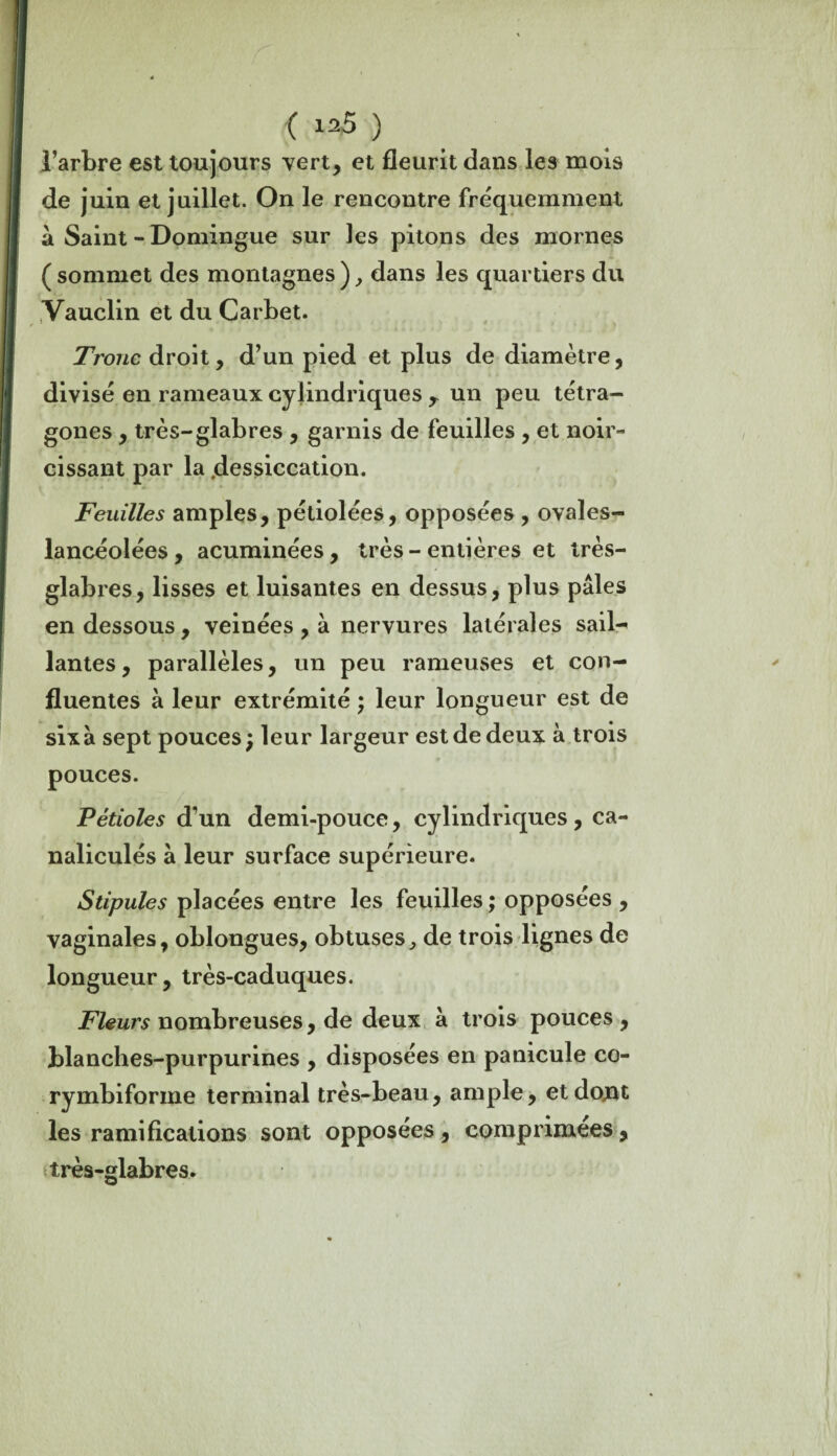 l’arbre est toujours vert, et fleurit dans les mois de juin et juillet. On le rencontre fréquemment à Saint - Domingue sur les pitons des mornes ( sommet des montagnes ), dans les quartiers du Vauclin et du Carbet. Tronc droit, d’un pied et plus de diamètre, divisé en rameaux cylindriques T un peu tétra- gones , très-glabres , garnis de feuilles , et noir- cissant par la .dessiccation. Feuilles amples, pétiolées, opposées , ovales- lancéolées, acuminées, très-entières et très- glabres, lisses et luisantes en dessus, plus pâles en dessous, veinées , à nervures latérales sail^ lantes, parallèles, un peu rameuses et con¬ fluentes à leur extrémité ; leur longueur est de six à sept pouces; leur largeur est de deux à trois * t ■ k J pouces. Pétioles d’un demi-pouce, cylindriques , ca- naliculés à leur surface supérieure. Stipules placées entre les feuilles ; opposées , vaginales, oblongues, obtuses^ de trois lignes de longueur, très-caduques. Fleurs nombreuses, de deux à trois pouces , blanches-purpurines , disposées en panicule co- rymbiforme terminal très-beau, ample, et dont les ramifications sont opposées, comprimées, très-glabres.