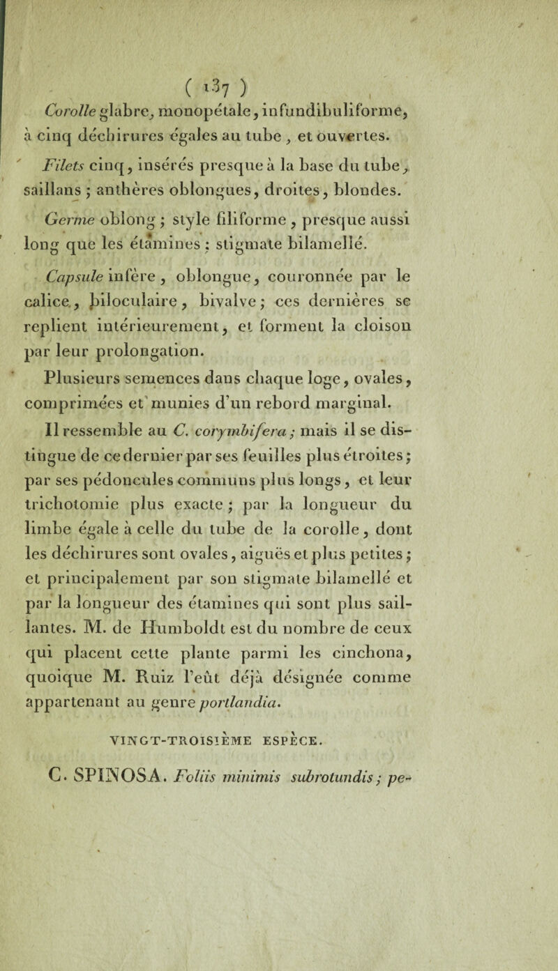 C ) Corolle glabre, monopétale, infundibuliforme, à cinq déchirures égales au tube , et ouvertes. Filets cinq, insérés presque à la base du tube, saillans ; anthères oblongues, droites, blondes. Germe obîong ; style filiforme , presque aussi long que les étamines ; stigmate bilamellé. Capsule infère , obiongue, couronnée par le calice., JulocuJaire, bivalve; ces dernières se replient intérieurement, et forment la cloison par leur prolongation. Plusieurs semences dans chaque loge, ovales, comprimées et munies d’un rebord marginal. Il ressemble au C. corymbijera ,* mais il se dis¬ tingue de ce dernier par ses feuilles plus étroites; par ses pédoncules communs plus longs, et leur trichotomie plus exacte ; par la longueur du limbe égale à celle du tube de la corolle, dont les déchirures sont ovales, aiguës et plus petites ; et principalement par son stigmate bilamellé et par la longueur des étamines qui sont plus sail¬ lantes. M. de Humboldt est du nombre de ceux qui placent cette plante parmi les cinchona, quoique M. Ruiz l’eût déjà désignée comme % appartenant au genre portlandia. VINGT-TROISIEME ESPECE. C. SPINOSA . Foliis minimis subrotundis ; pe~