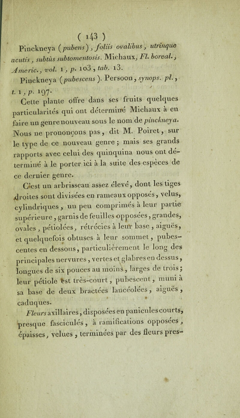 Pinckneya ( pubens ) , foins ovalibus, utrinque acutis, subtùs subtomentosis. Michaux, Fl boréal., A me rie. ? vol. 1, p» io3 , tab. i3. Pinckneya ( pubescens ). Persoon, synops. pl., 197* .  . Cette plante offre dans ses fruits quelques particularités qui ont déterminé Michaux à en faire un genre nouveau sous le nom de pinckneya. IVous ne prononçons pas , dit M. Poiret, sui le type de ce nouveau genre ; mais ses grands rapports avec celui des quinquina nous ont dé¬ terminé à le porter ici à la suite des espèces de ce dernier genre. C’est un arbrisseau assez élevé, dont les tiges .droites sont divisées en rameaux opposés, velus, cylindriques , un peu comprimés à leur partie supérieure, garnis de feuilles opposées, grandes, ovales , pétiolées, rétrécies à leur hase , aiguës, et quelquefois obtuses à leur sommet, pubes- centes en dessous, particulièrement le long des principales nervures , vertes et glabres en dessus , longues de six pouces au moins , larges de trois; leur pétiole ëst très-court, puhescent, muni a sa base de deux bractées lancéolées , aiguës , * ♦ caduques. Fleurs axillaires, disposées en panicules courts, presque fasciculés , à ramifications opposées , épaisses, velues , terminées par des fleurs près-