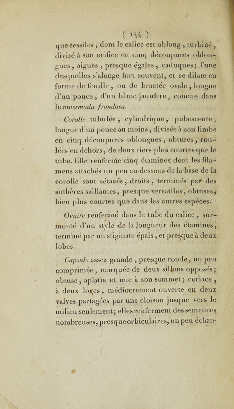 y ( U4 ) que sessiles , dont le ealice est oblong , turbine , divisé à son orifice en cinq découpures oblon- gues, aiguës , presque égales, caduques; l’une desquelles s’alouge fort souvent, et se dilate en forme de feuille , ou de bractée ovale , longue d’un pouce, d’un blanc jaunâtre, comme dans le mussoenda frondos a. Corolle tubulée , cylindrique , pubescente 9 longue d’un pouce au moins, divisée à son limbe en cinq découpures oblongues , obtuses, rou¬ lées en dehors, de deux tiers plus courtes que le tube. Elle renferme cinq étamines dont les fila— mens attachés un peu au-dessous de la base de la corolle sont sétacés , droits, terminés par des anthères saillantes, presque versatiles, obtuses, bien plus courtes que dans les autres espèces. Ovaire renfermé dans le tube du calice, sur- » * • % monté d’un style de la longueur des étamines, terminé par un stigmate épais, et presque à deux lobes. Capsule assez grande , presque ronde, un peu comprimée , marquée de deux sillons opposés; obtuse, aplatie et nue à son sommet ; coriace, à deux loges, médiocrement ouverte en deux valves partagées par une cloison jusque vers le milieu seulement; elles renferment des semences nombreuses, presqueorbiculaires, un peu échan-