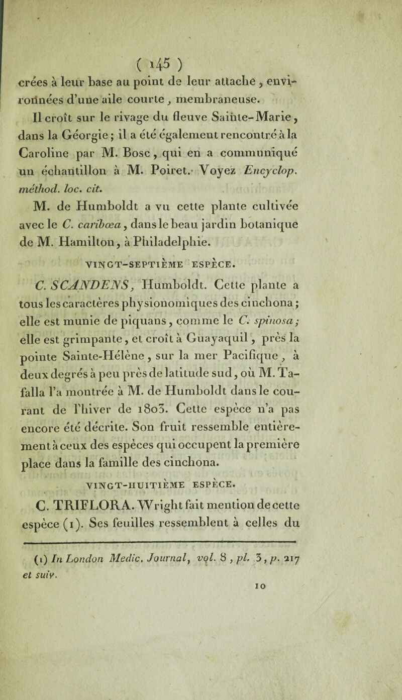 r c 45 ) crées à leur base au point de leur attache 3 envi- rorinées d’une aile courte , membraneuse. Il croît sur le rivage du fleuve Sainte-Marie, dans la Géorgie; il a été également rencontré à la Caroline par M. Bosc , qui en a communiqué un échantillon à M. Poiret. Voyez Encyclop. méthod. loc. cit. M. de Humboldt a vu cette plante cultivée avec le C. caribœa, dans le beau jardin botanique de M. Hamilton, à Philadelphie. VINGT-SEPTIEME ESPECE. C. SCANDENS, Humboldt. Cette plante a tous les caractères physionomiques des cinchona ; elle est munie de piquans, comme le C. spinosa; elle est grimpante, et croît à Guayaquil , près la pointe Sainte-Hélène, sur la mer Pacifique , à deux degrés à peu près de latitude sud, où M. Ta- falla l’a montrée à M. de Humboldt dans le cou¬ rant de l'hiver de 1800. Cette espèce n’a pas encore été décrite. Son fruit ressemble entière¬ ment à ceux des espèces qui occupent la première place dans la famille des cinchona. VINGT-HUITIÈME ESPECE. C. TRIFLORA. Wright fait mention de cette espèce (1). Ses feuilles ressemblent à celles du (1) In London Medic. Journal, vol. 8 , pL 3, p. 217 et suiy. 10 /