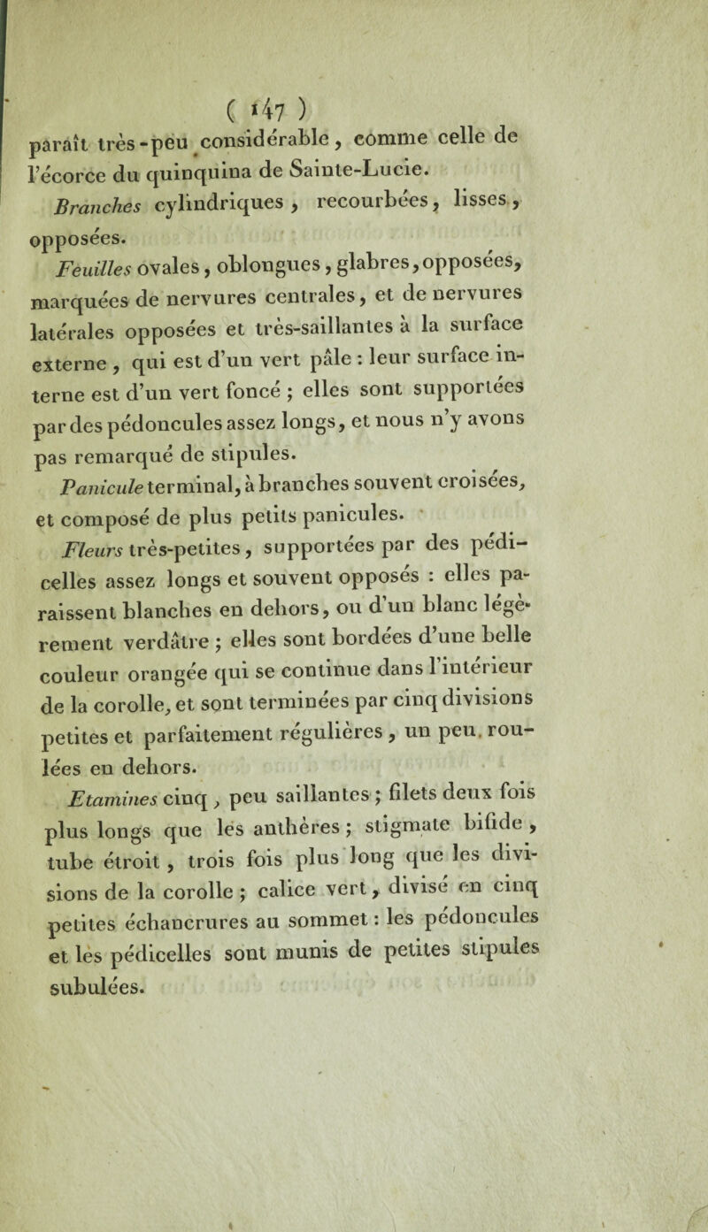 ( *47 ) paraît 1res peu considerâble ^ connue celle de l’écorce du quinquina de Sainte-Lucie. Branches cylindriques , recourbées, lisses , opposées. Feuilles ovales, oblongues, glabres,opposées, marquées de nervures centrales, et de nervuies latérales opposées et très-saillantes à la surface externe , qui est d’un vert pâle : leur surface in¬ terne est d’un vert foncé ; elles sont supportées par des pédoncules assez longs, et nous n y avons pas remarqué de stipules. Panicule terminal, à branches souvent croisées, et composé de plus petits panicules. Fleurs très-petites, supportées par des pédi- celles assez longs et souvent opposés : elles pa¬ raissent blanches en dehors, ou d un blanc légè¬ rement verdâtre j elles sont bordées d une belle couleur orangee qui se continue dans 1 inter leur de la corolle, et sont terminées par cinq divisions petites et parfaitement régulières , un peu. rou¬ lées en dehors. Etamines cinq , peu saillantes j filets deux fois plus longs que les anthères ; stigmate bifide , tube étroit , trois fois plus long qoe les divi¬ sions de la corolle ; calice vert 7 divise en cinq petites échancrures au sommet : les pédoncules et les pédicelles sont munis de petites stipules subulées. »