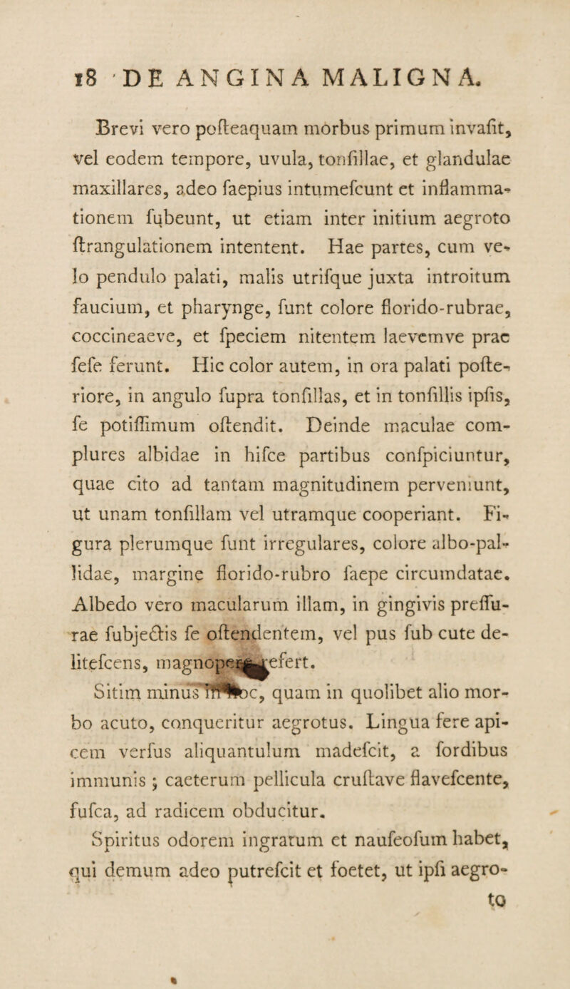 Brevi vero poffeaquam morbus primum invafit, vel eodem tempore, uvula, tonfillae, et glandulae maxillares, adeo faepius intumefcunt et inflamma*» tionem fqbeunt, ut etiam inter initium aegroto flrangulationem intentent. Hae partes, cum ve¬ lo pendulo palati, malis utrifque juxta introitum faucium, et pharynge, funt colore fiorido-rubrae, coccineaeve, et fpeciem nitentem laevemve prae fefe ferunt. Hic color autem, in ora palati pofte^ riore, in angulo fupra tonfillas, et in tonfillis ipfis, fe potiffimum offendit. Deinde maculae com¬ plures albidae in hifce partibus confpiciuntur, quae cito ad tantam magnitudinem perveniunt, ut unam tonfillam vel utramque cooperiant. Fi*» gura plerumque funt irregulares, colore albo-pal- Jidae, margine florido-rubro faepe circumdatae. Albedo vero macularum illam, in gingivis preffu- rae fubje&is fe offendentem, vel pus fub cute de- litefcens, tnagnopes^^efert. Sitim minuTTflNIbc, quam in quolibet alio mor¬ bo acuto, conqueritur aegrotus. Lingua fere api¬ cem verfus aliquantulum madefcit, a fordibus immunis; caeterum pellicula cruftave flavefcente, fufca, ad radicem obducitur. Spiritus odorem ingratum et naufeofuin habet, qui demum adeo putrefcit et foetet, ut ipfi aegro¬ to