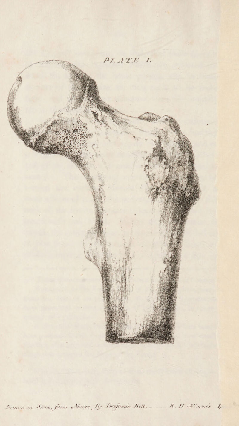 />,„.< // < /V •V'-V/f'. . Z'/V’/r/ *